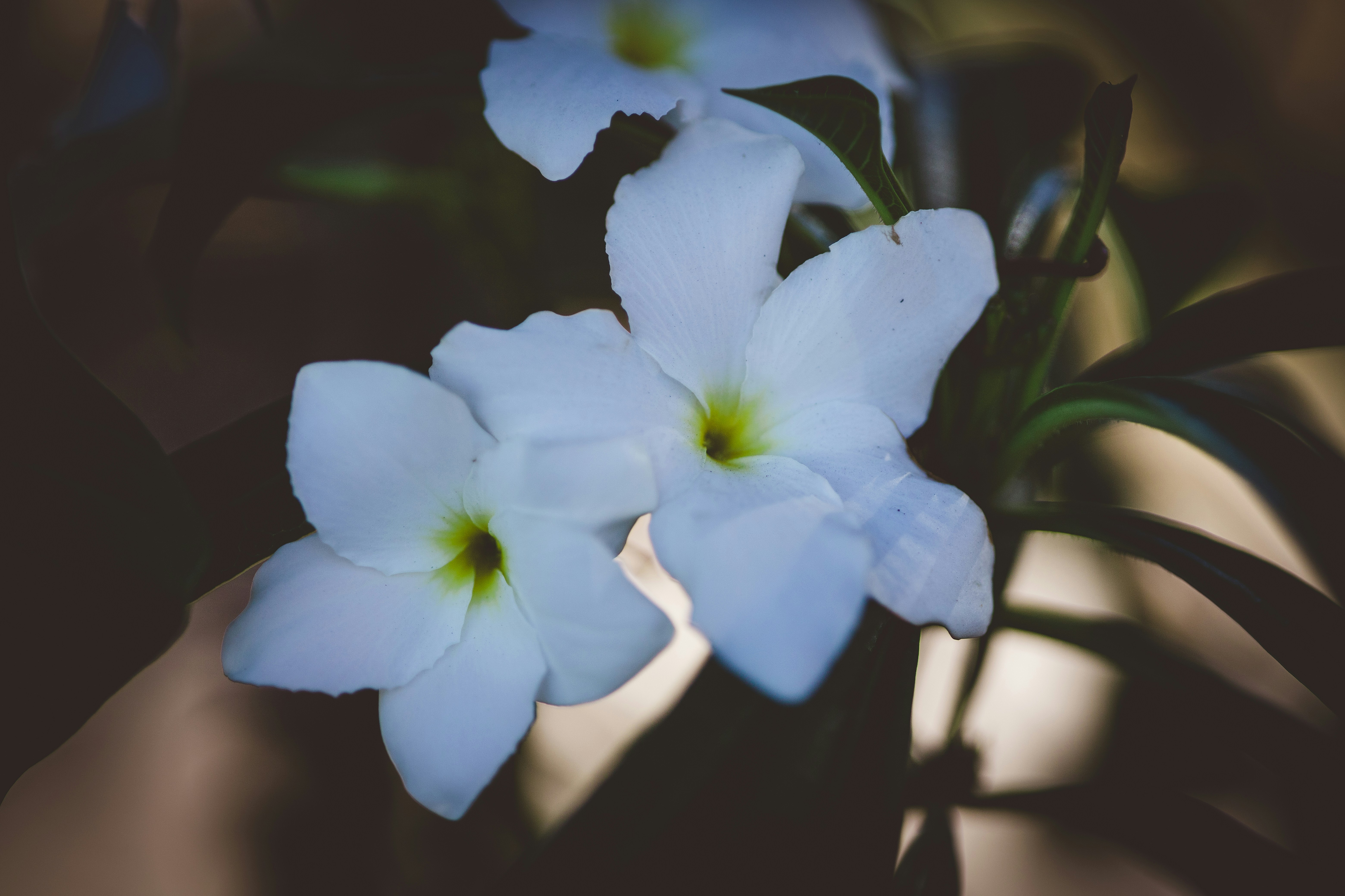 Photo by rrodriguesim