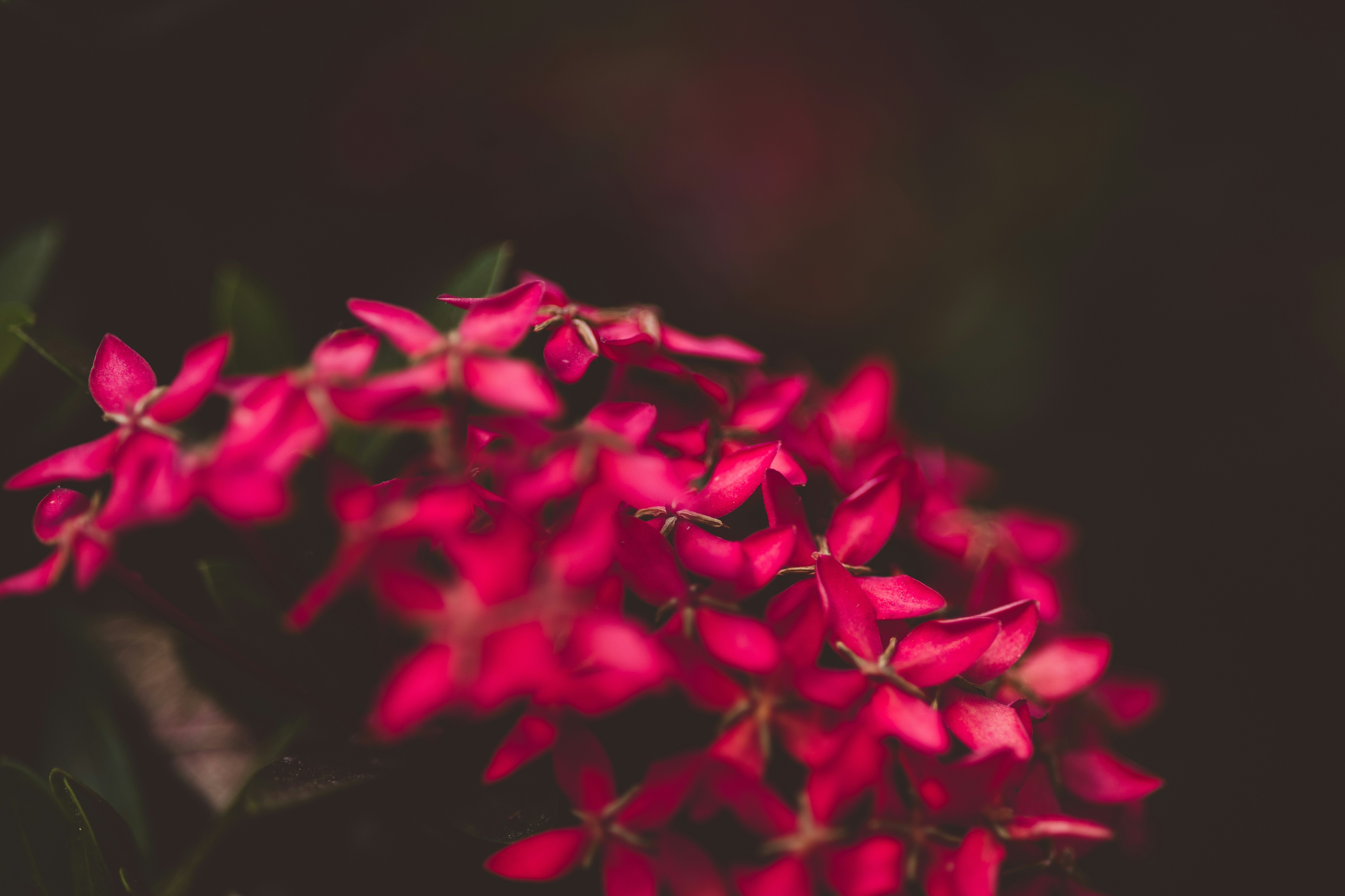 Photo by rrodriguesim