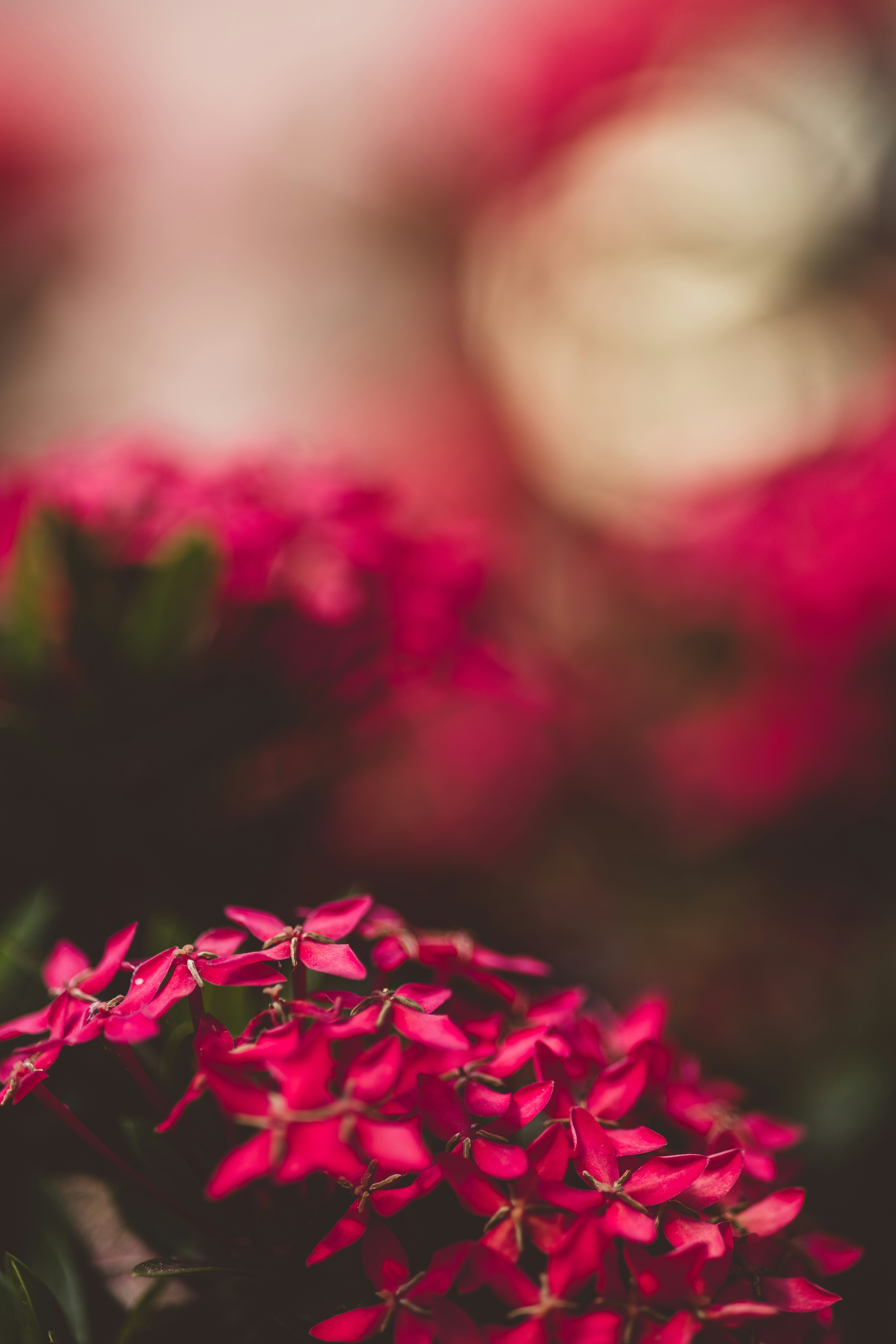 Photo by rrodriguesim