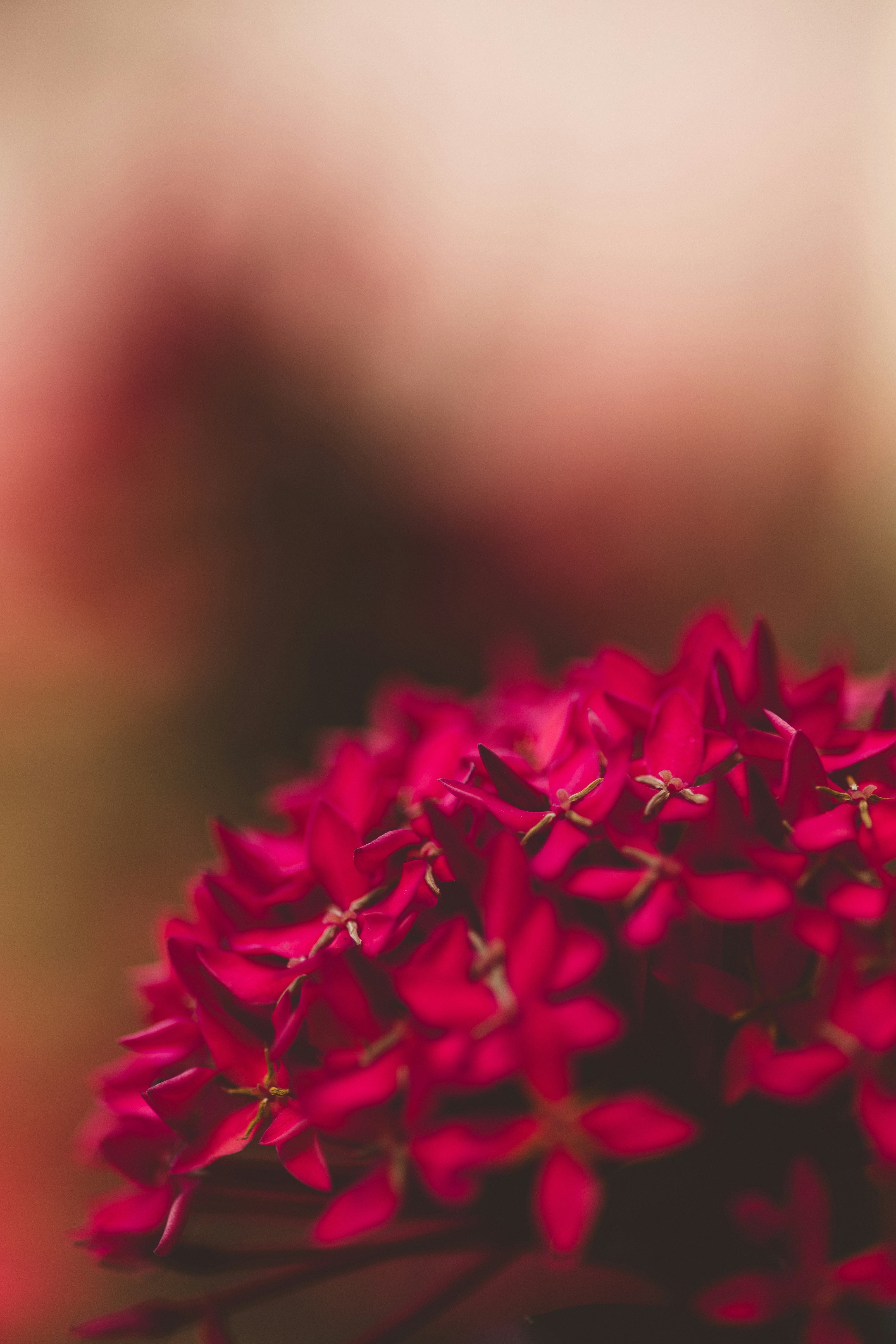 Photo by rrodriguesim