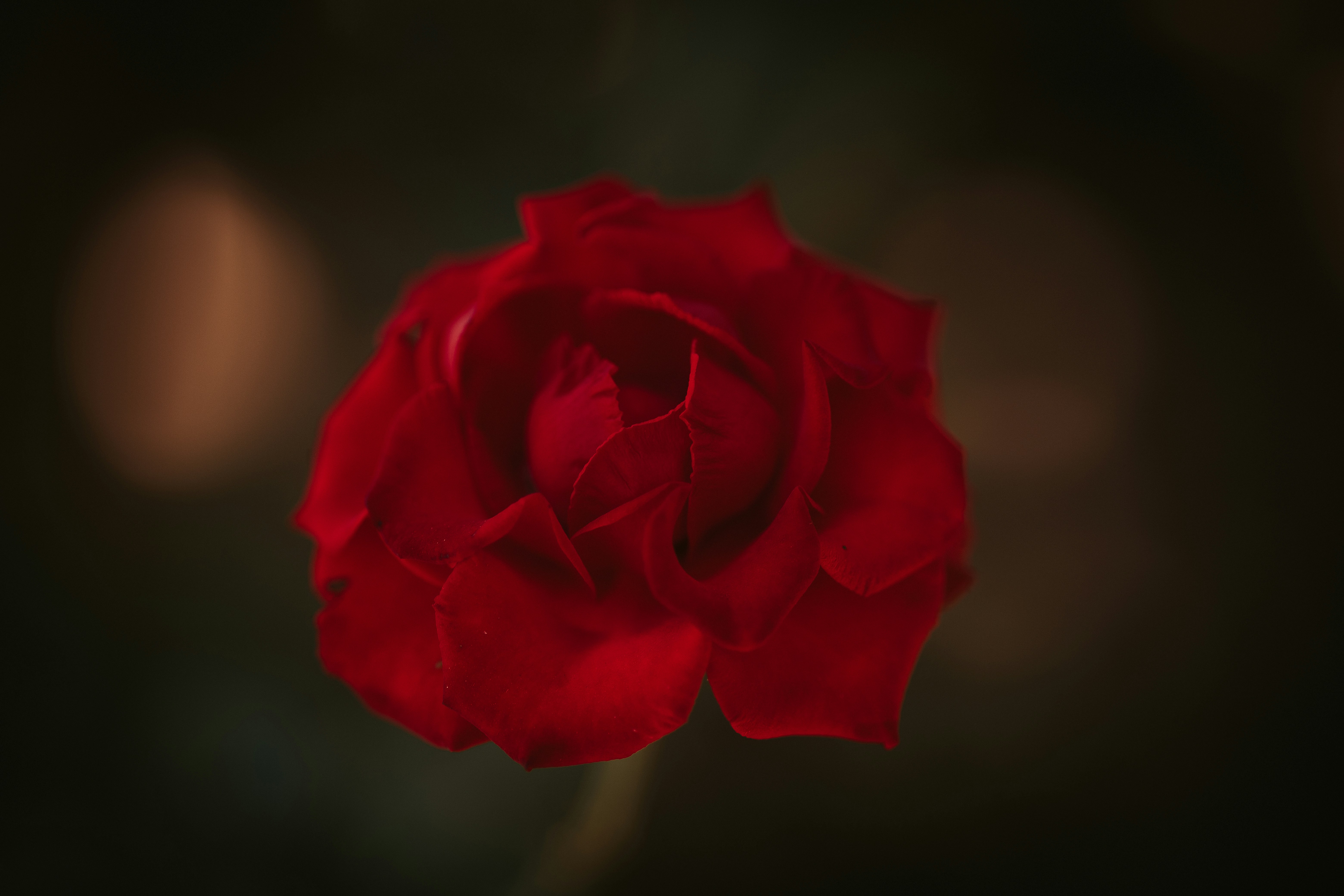 Photo by rrodriguesim