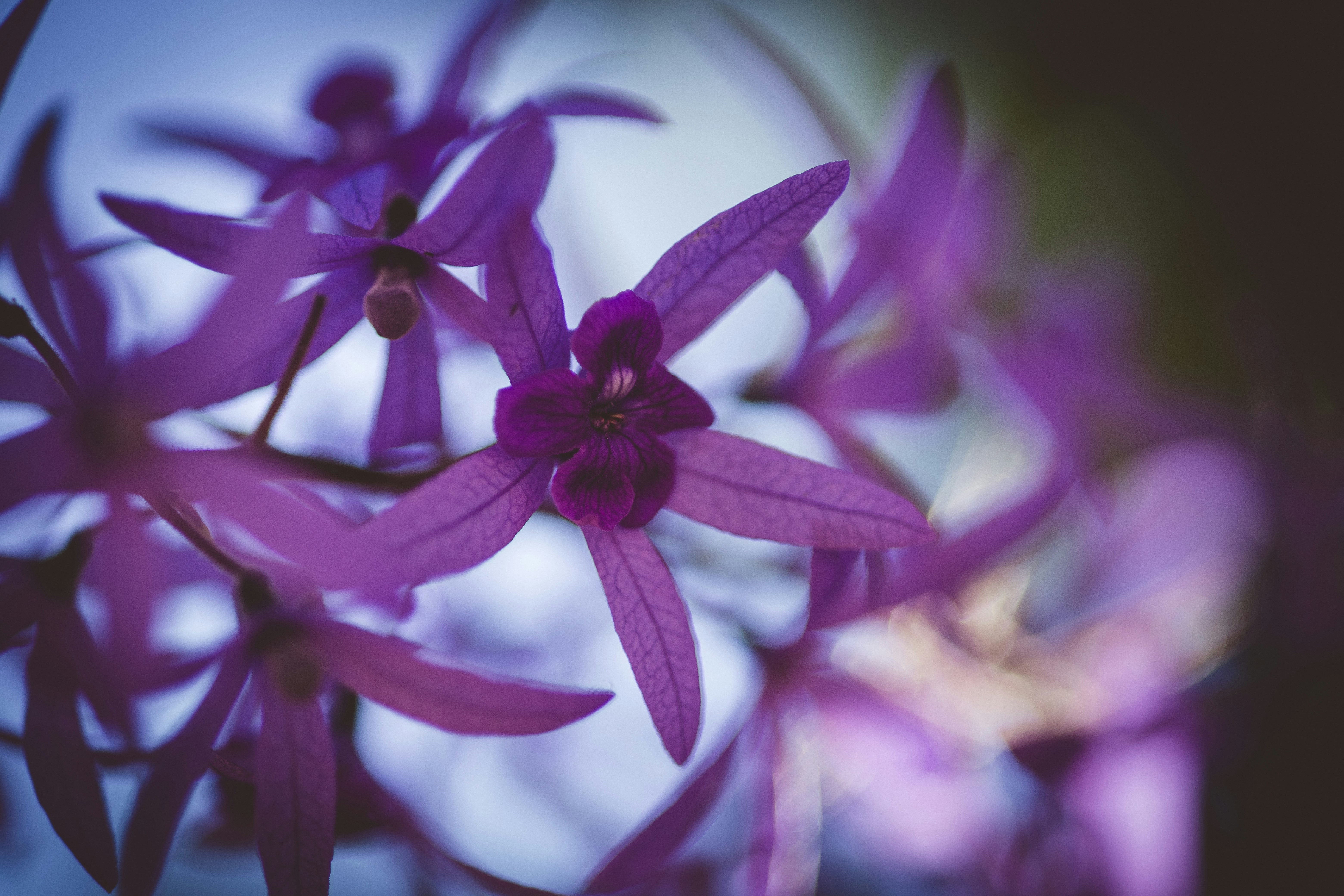 Photo by rrodriguesim