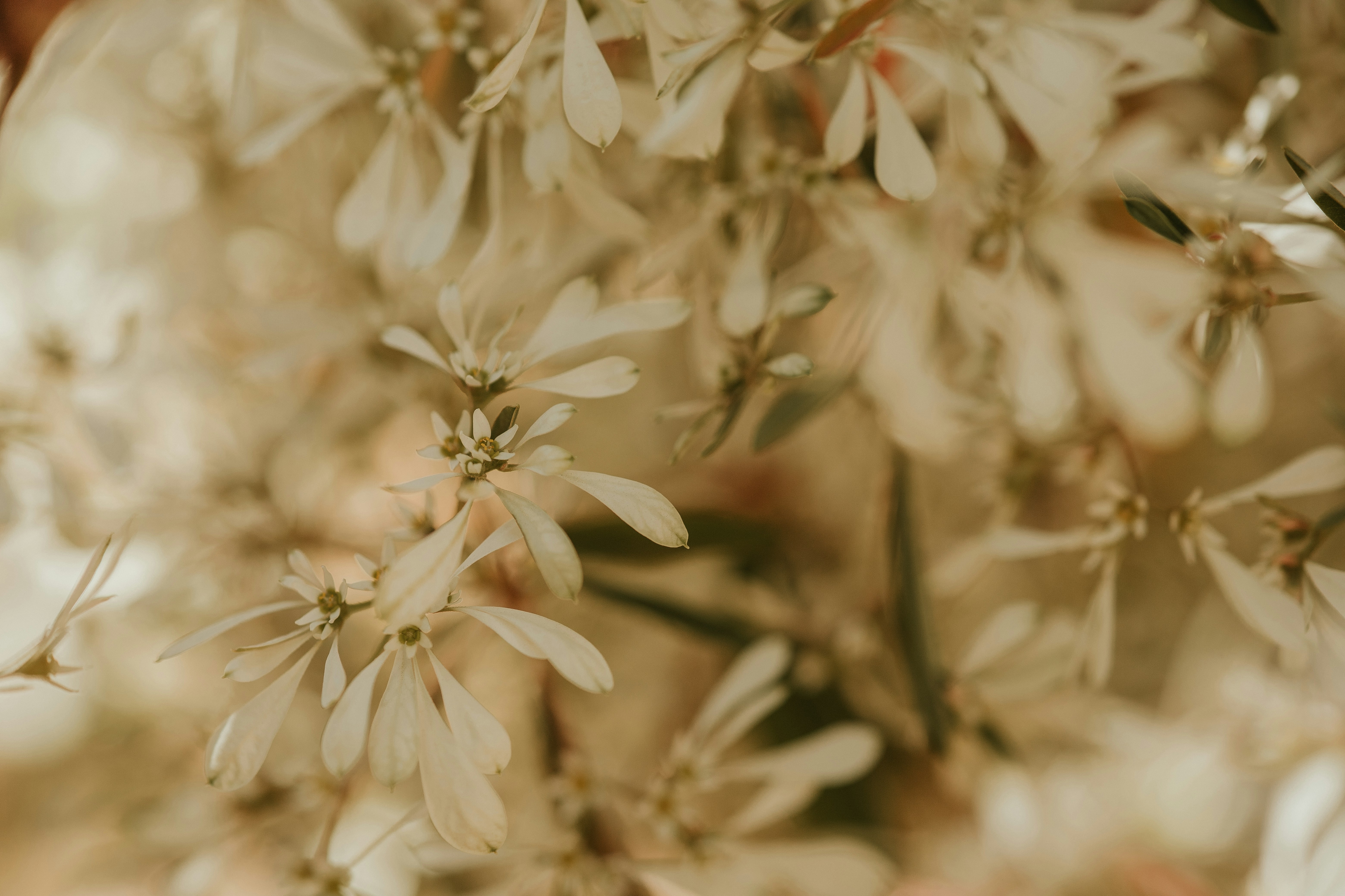 Photo by rrodriguesim