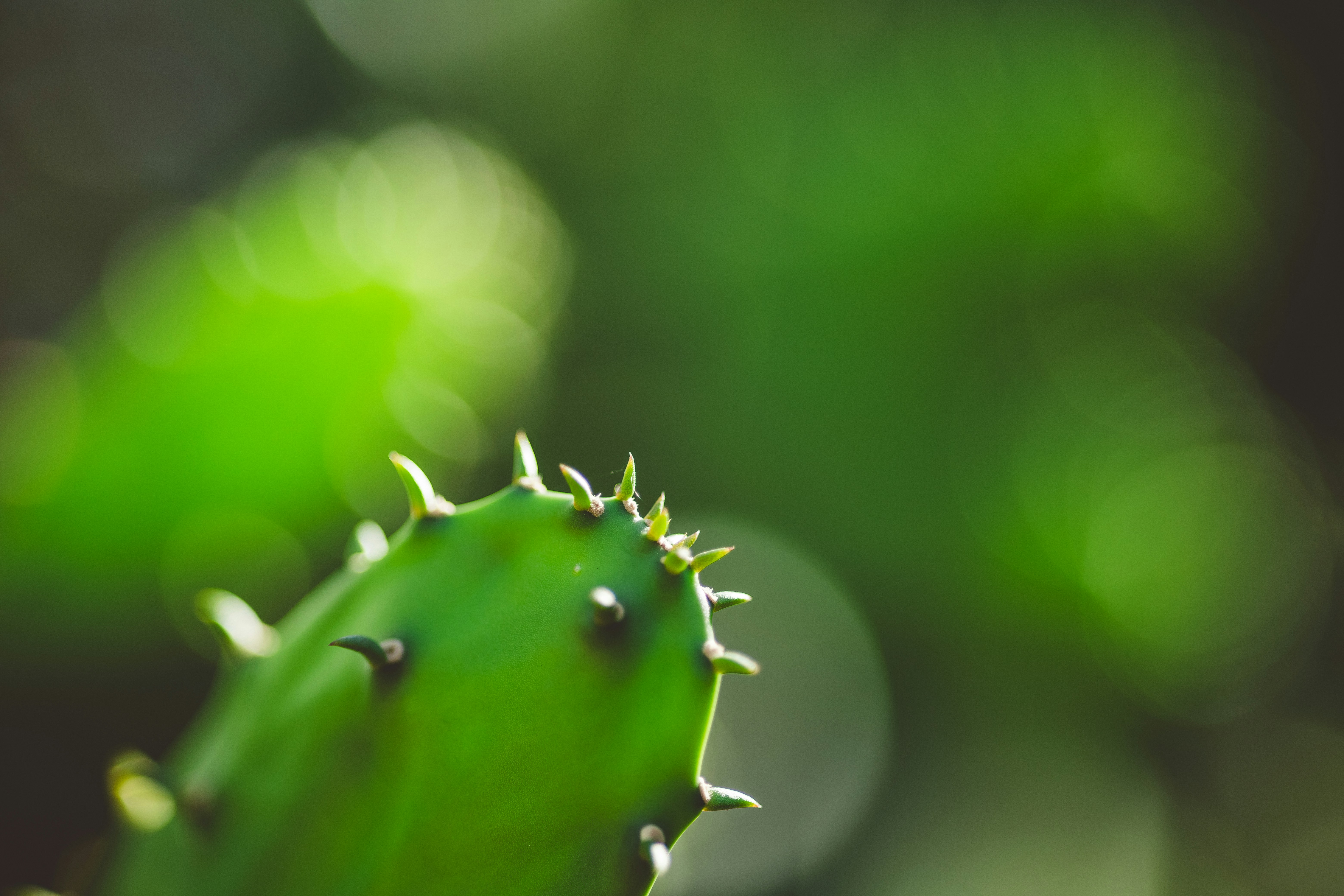 Photo by rrodriguesim