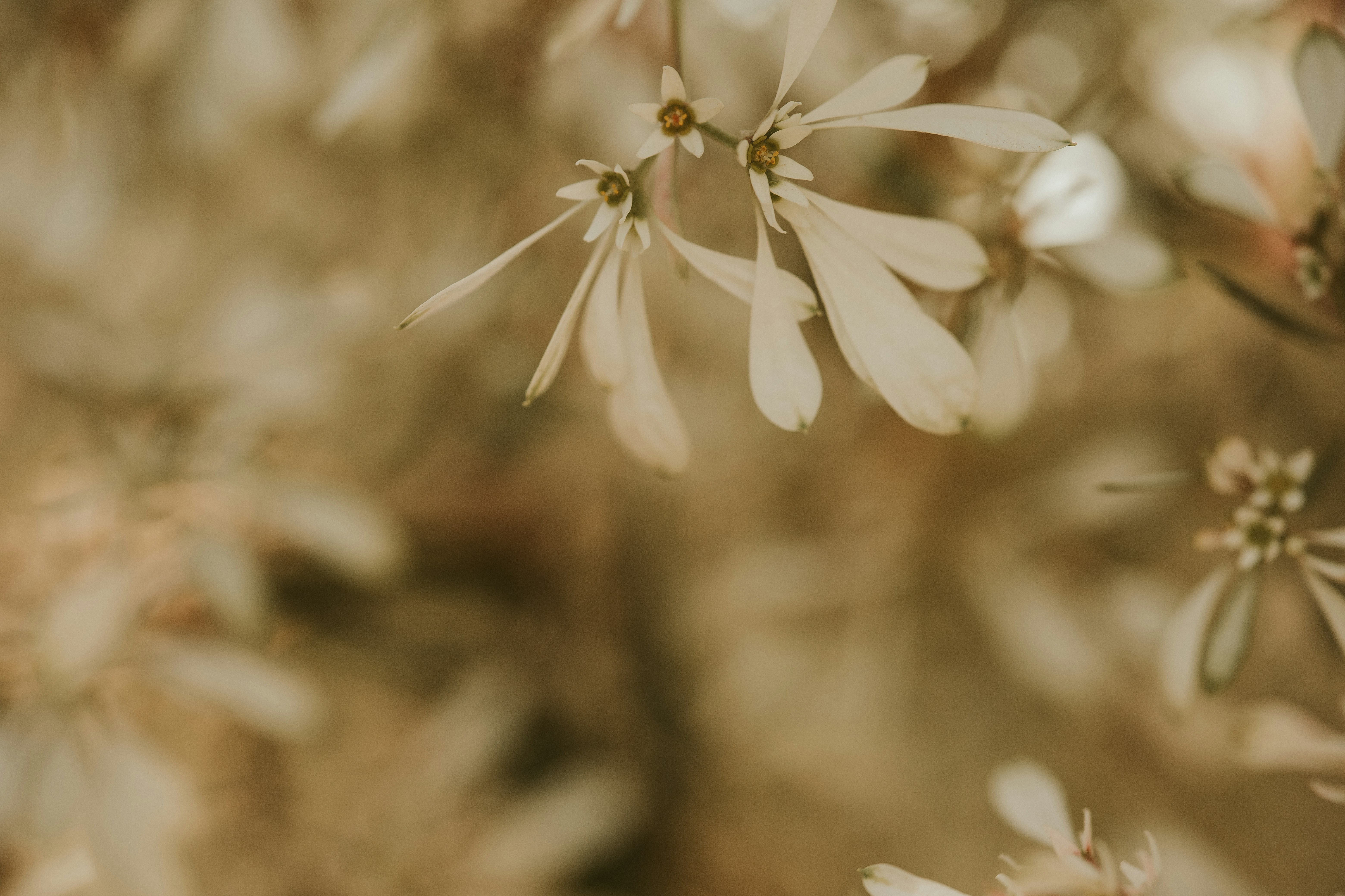 Photo by rrodriguesim