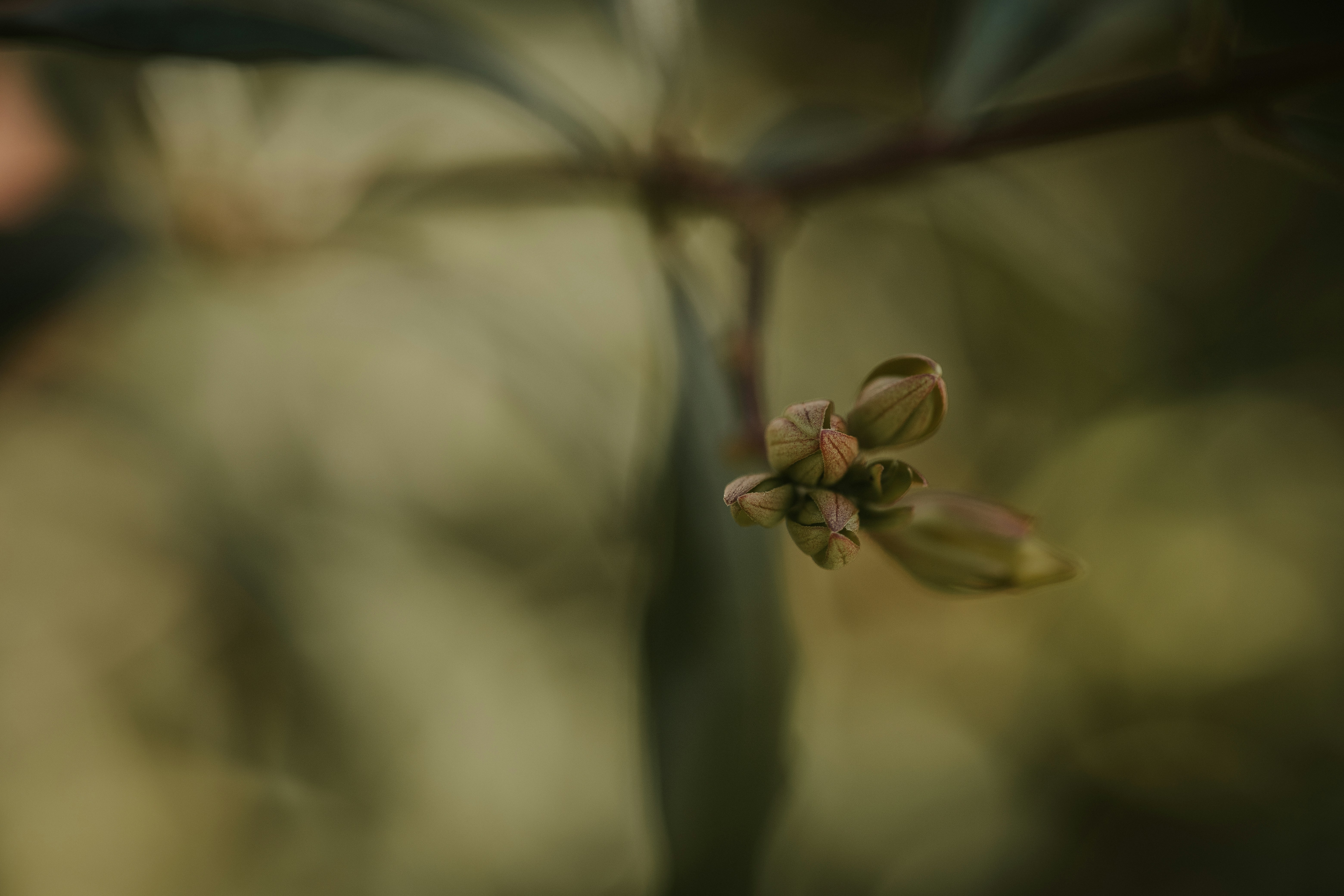 Photo by rrodriguesim