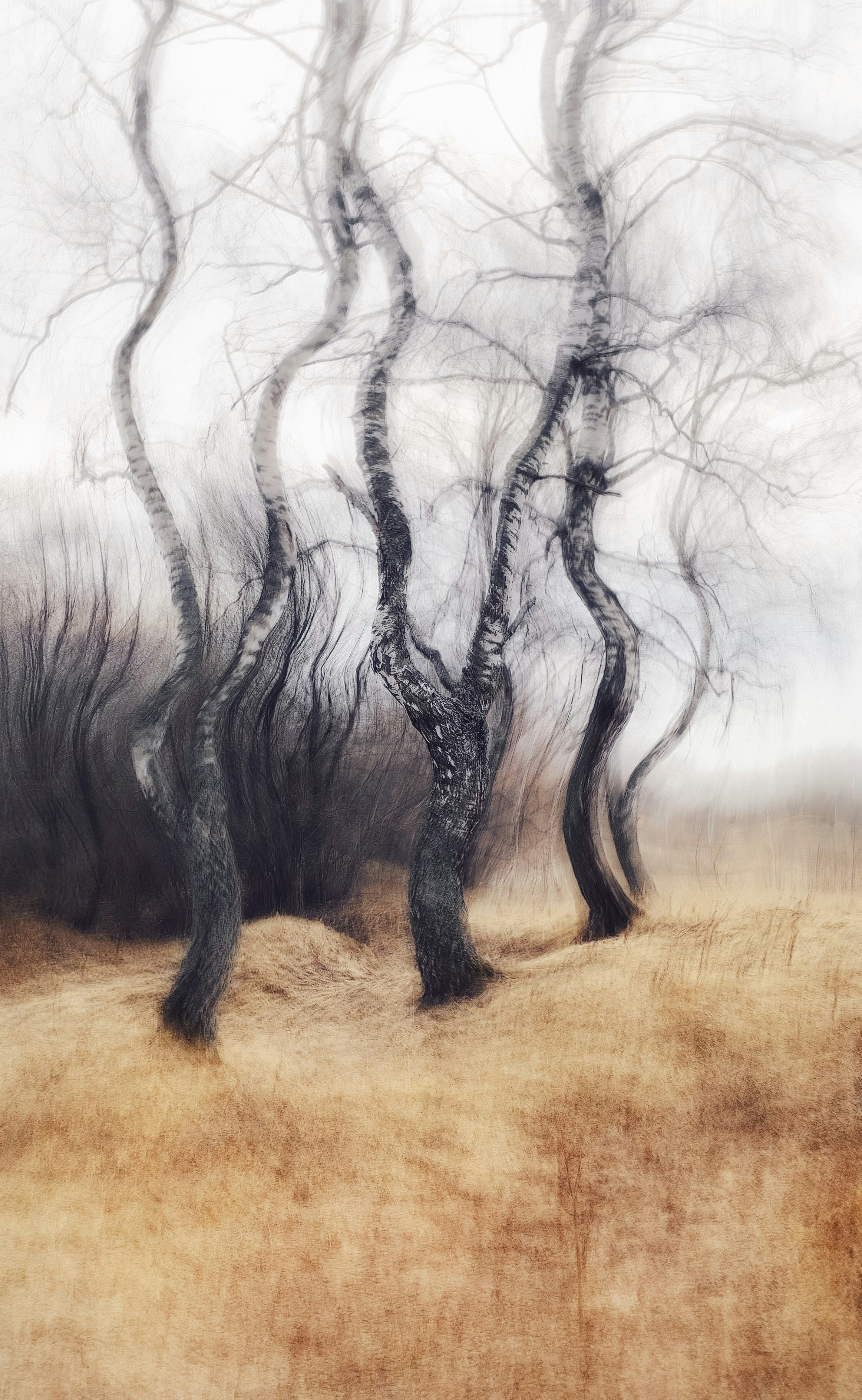 Photo by eugene_golovesov