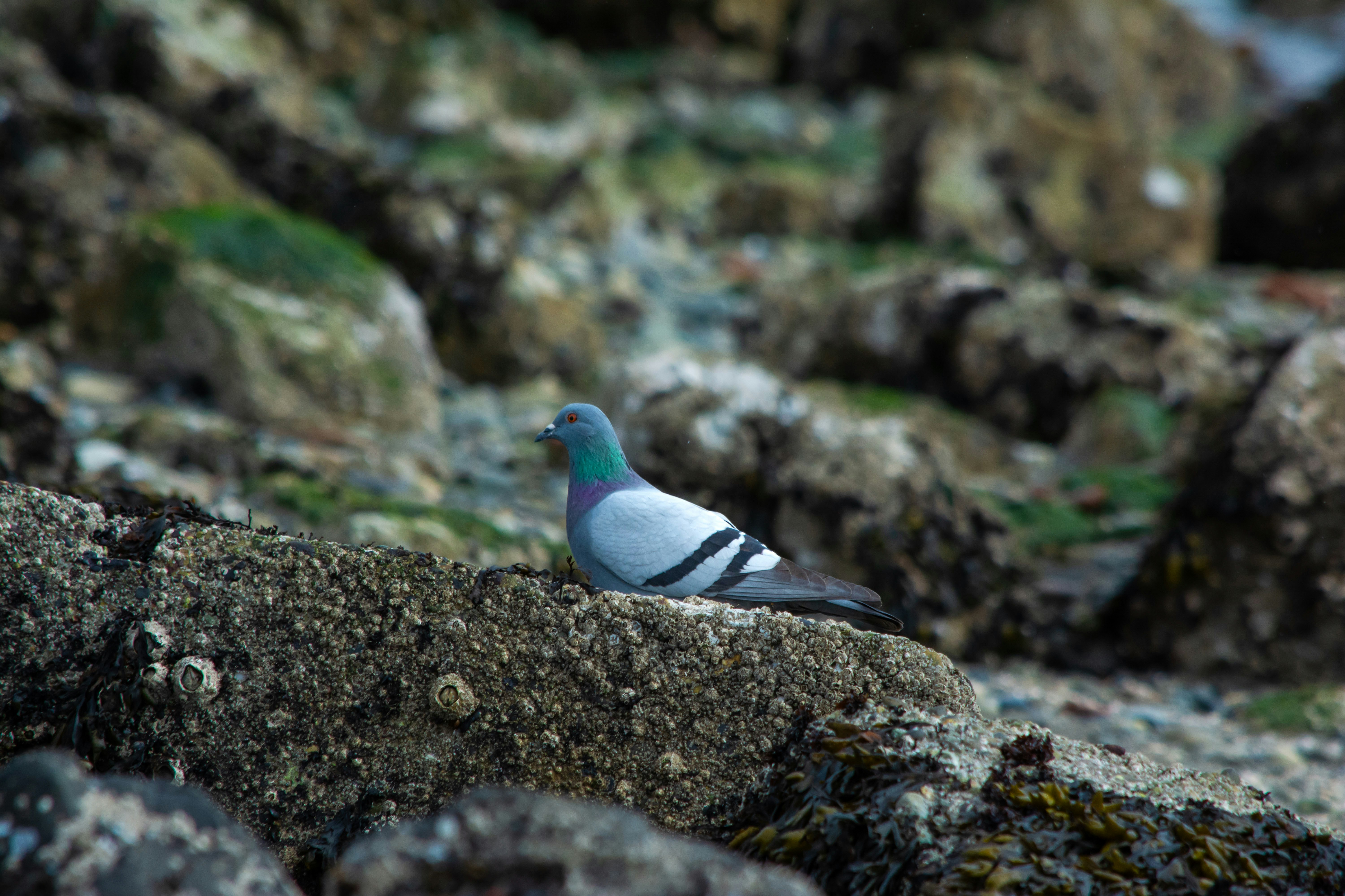 Photo by meenakshibose