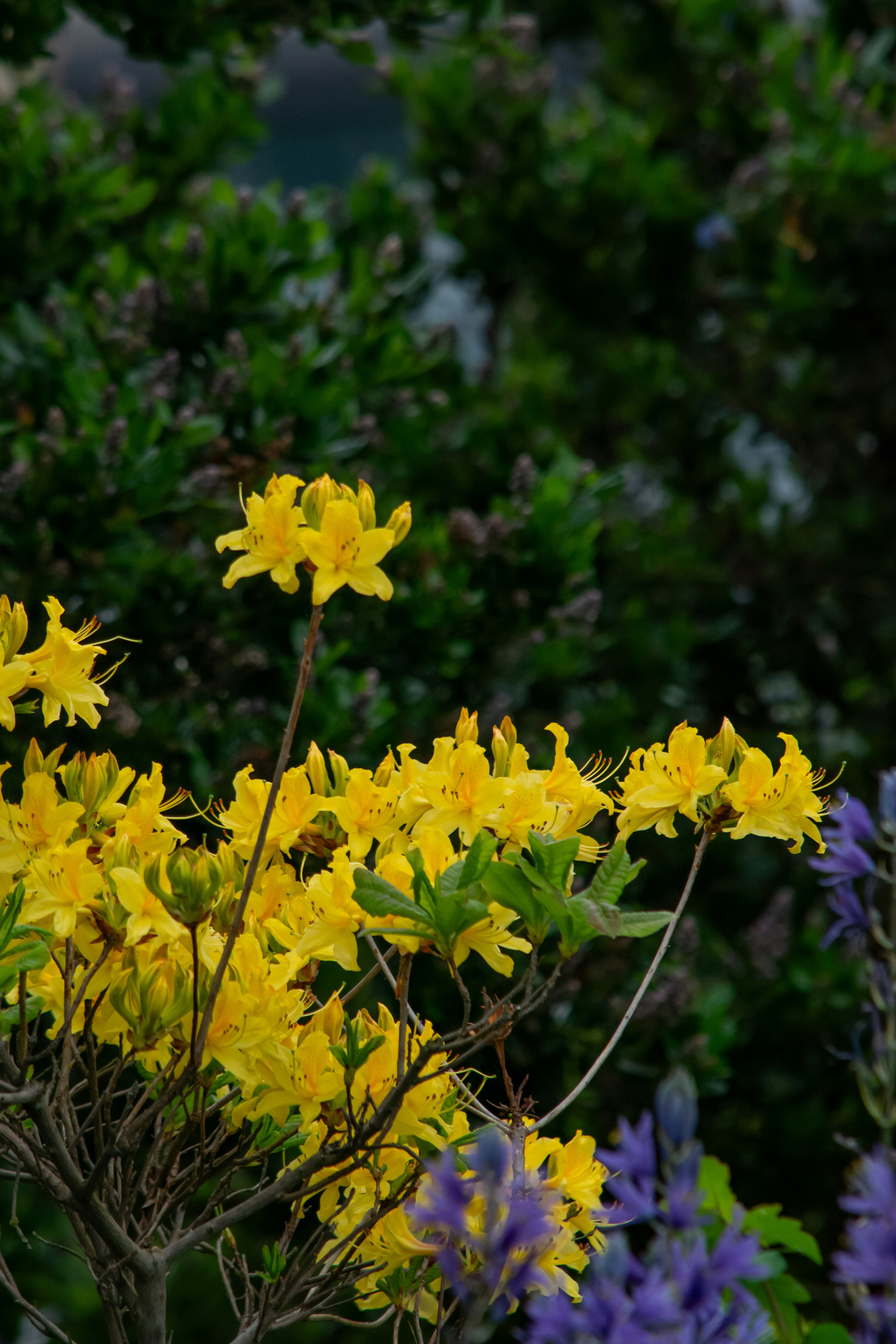 Photo by meenakshibose