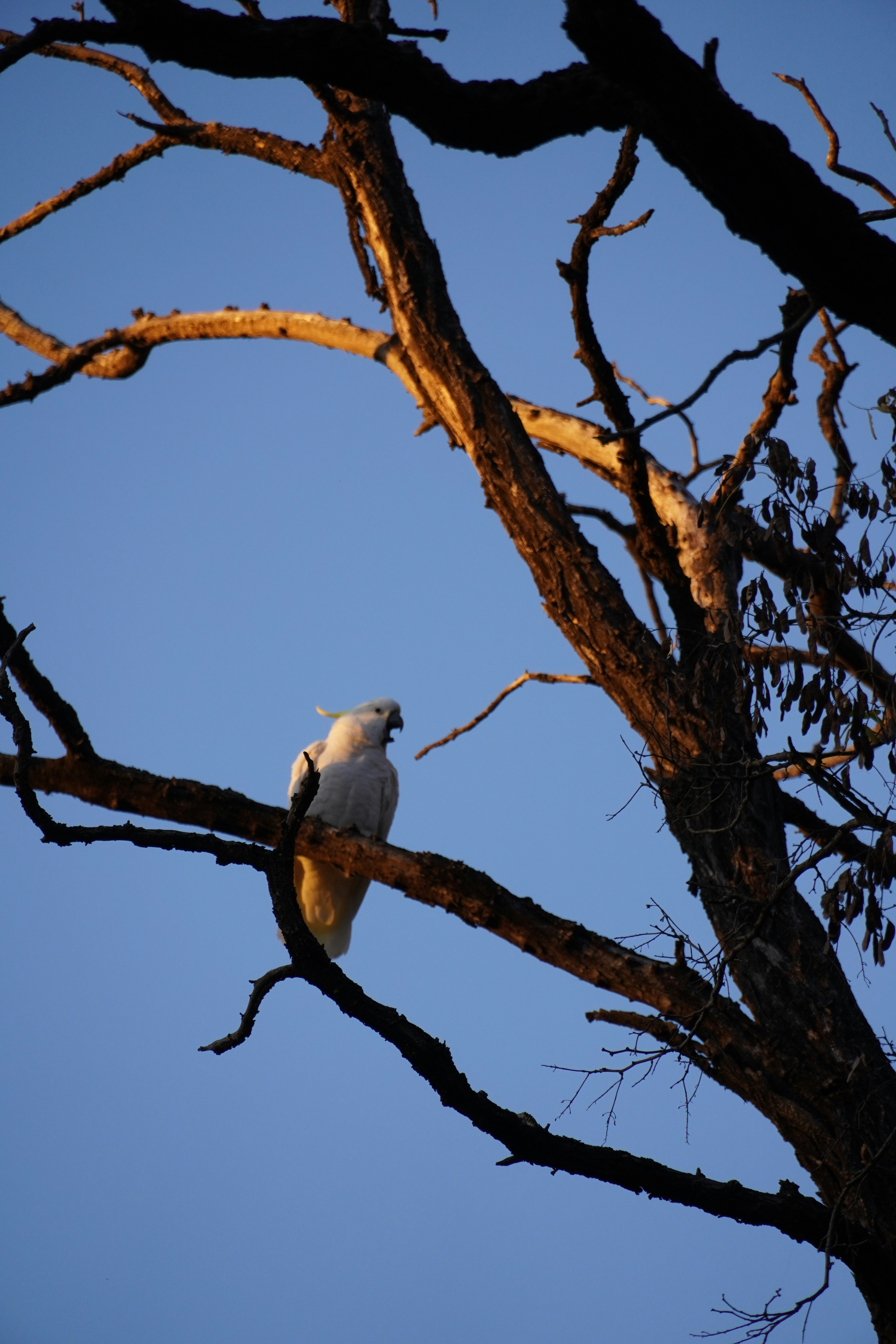 Photo by greenliustudio