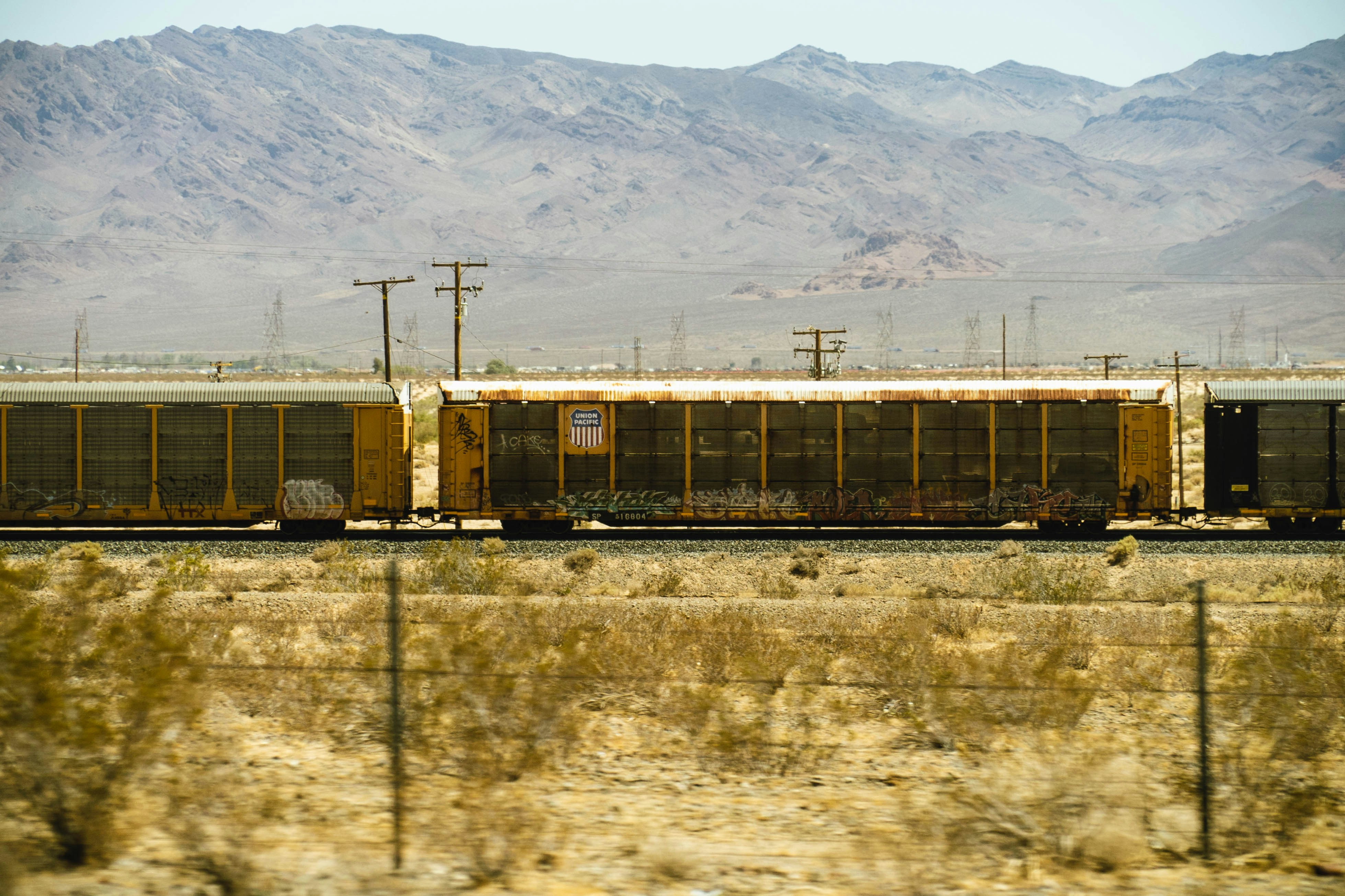 photo-1717647838847-38a8c0178a8b?ixid=M3wxMjA3fDB8MXxzZWFyY2h8MTl8fGVzcXVpYXIlMjBlbiUyMHNpZXJyYSUyMG5ldmFkYXxlbnwwfHx8fDE3MzQwNDY3NTd8MA\u0026ixlib=rb-4.0.3