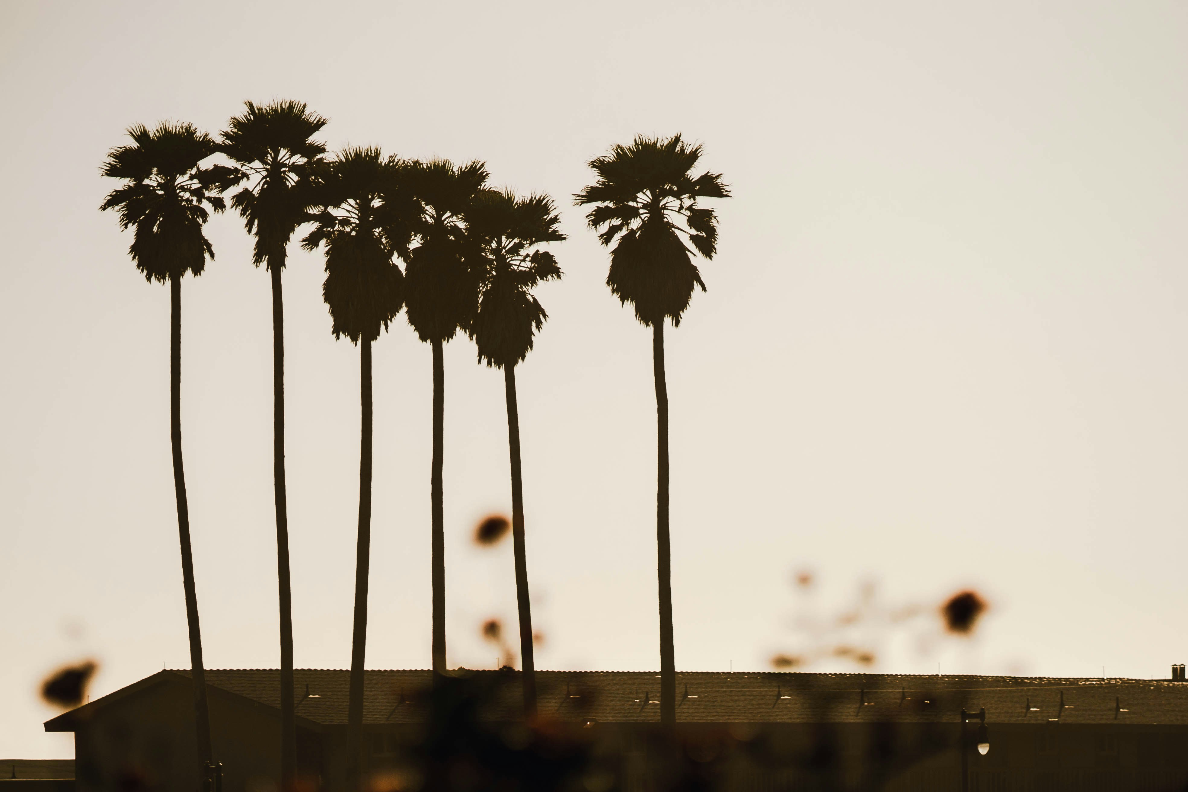 Photo by leob_photography