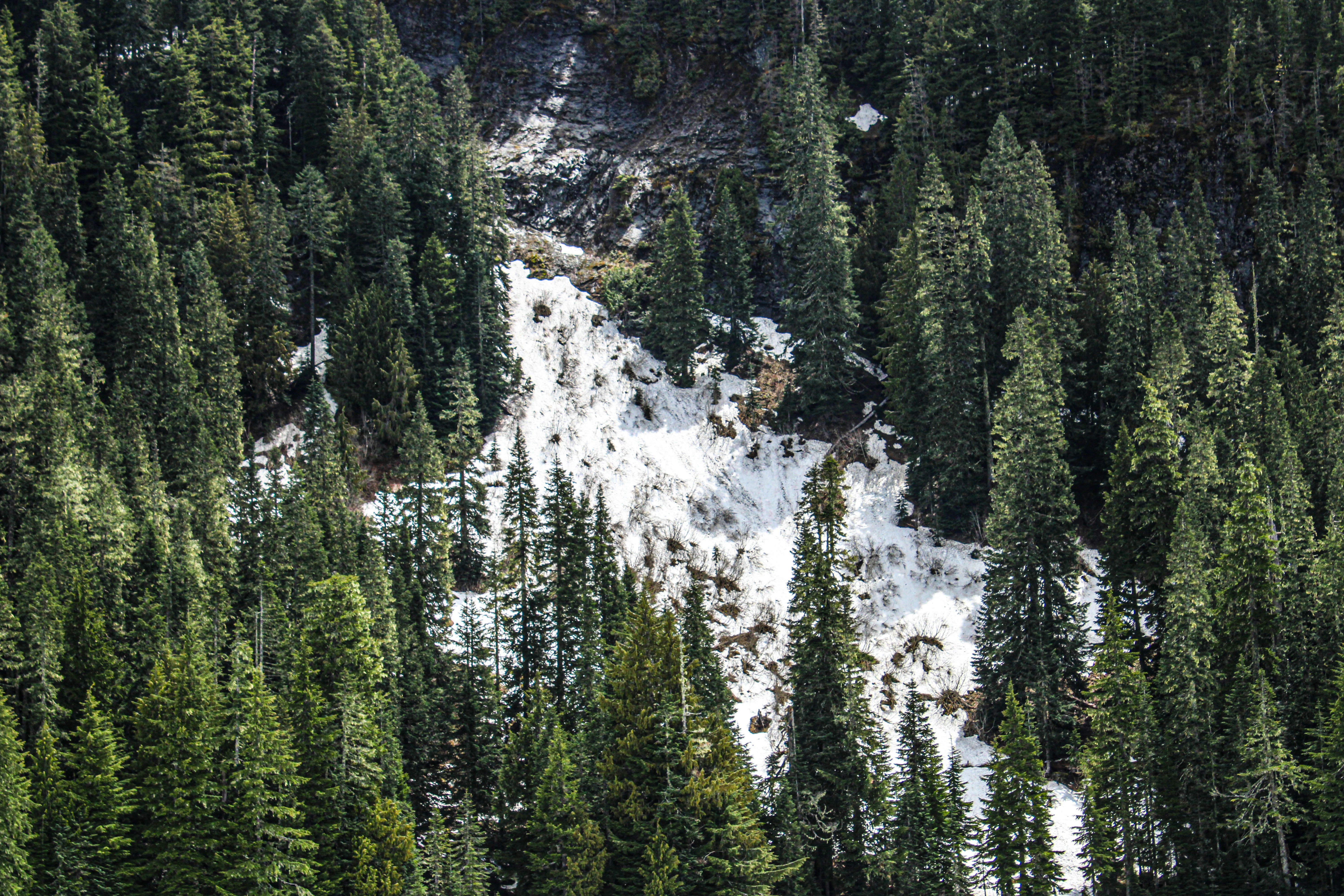 Avalanche Tragedy in Italy: 5 German Mountaineers Killed