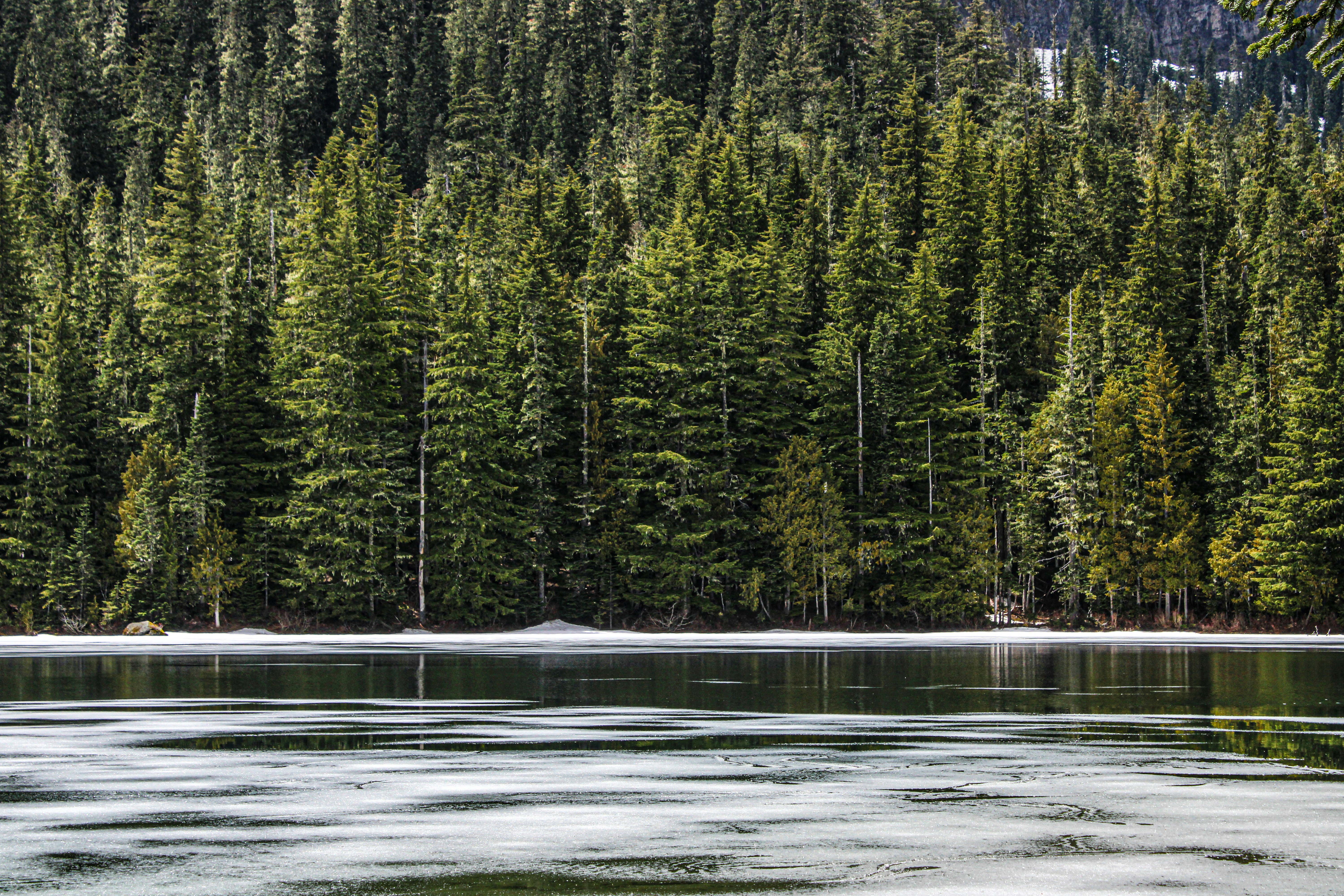 Photo by prphotography262