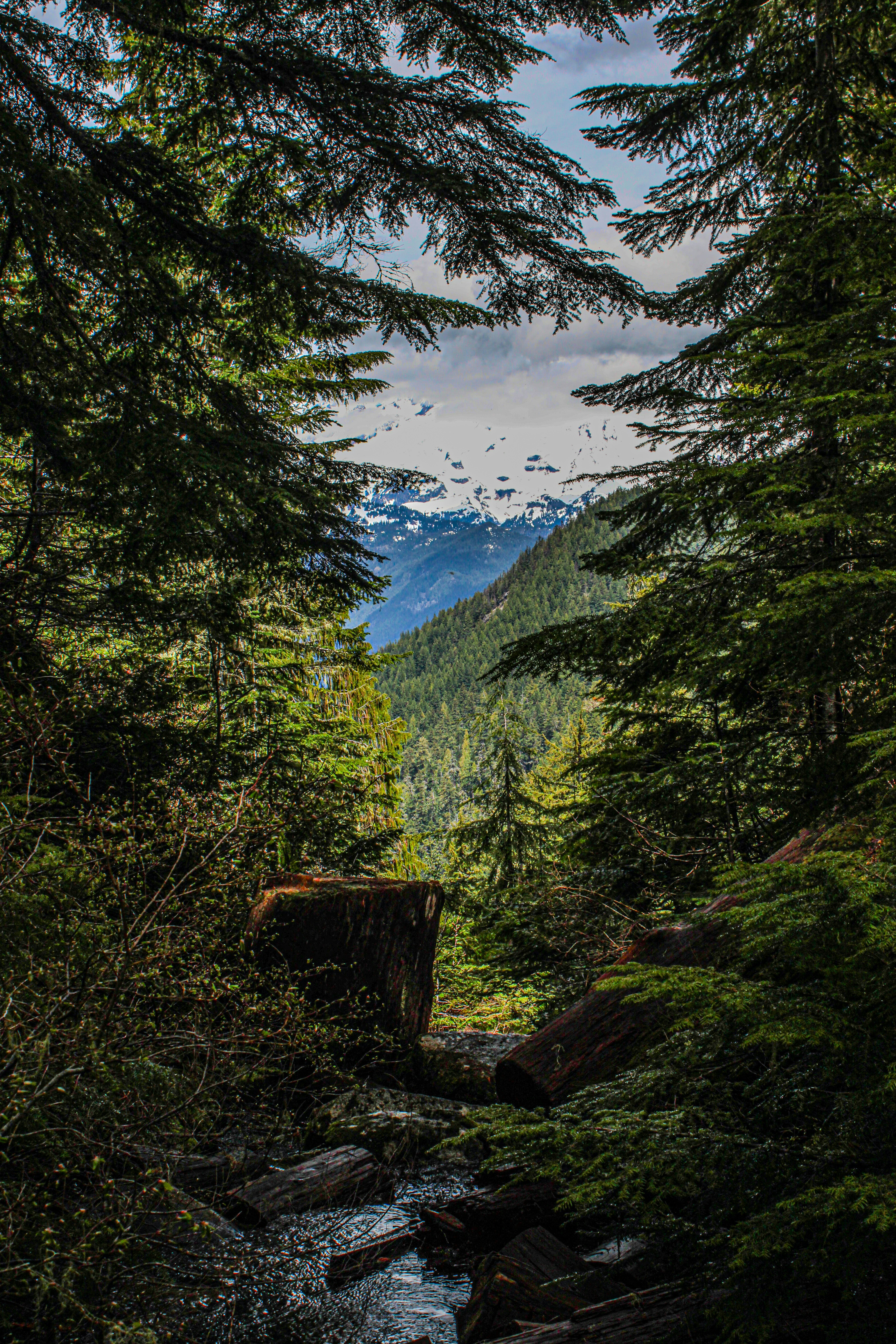 Photo by prphotography262