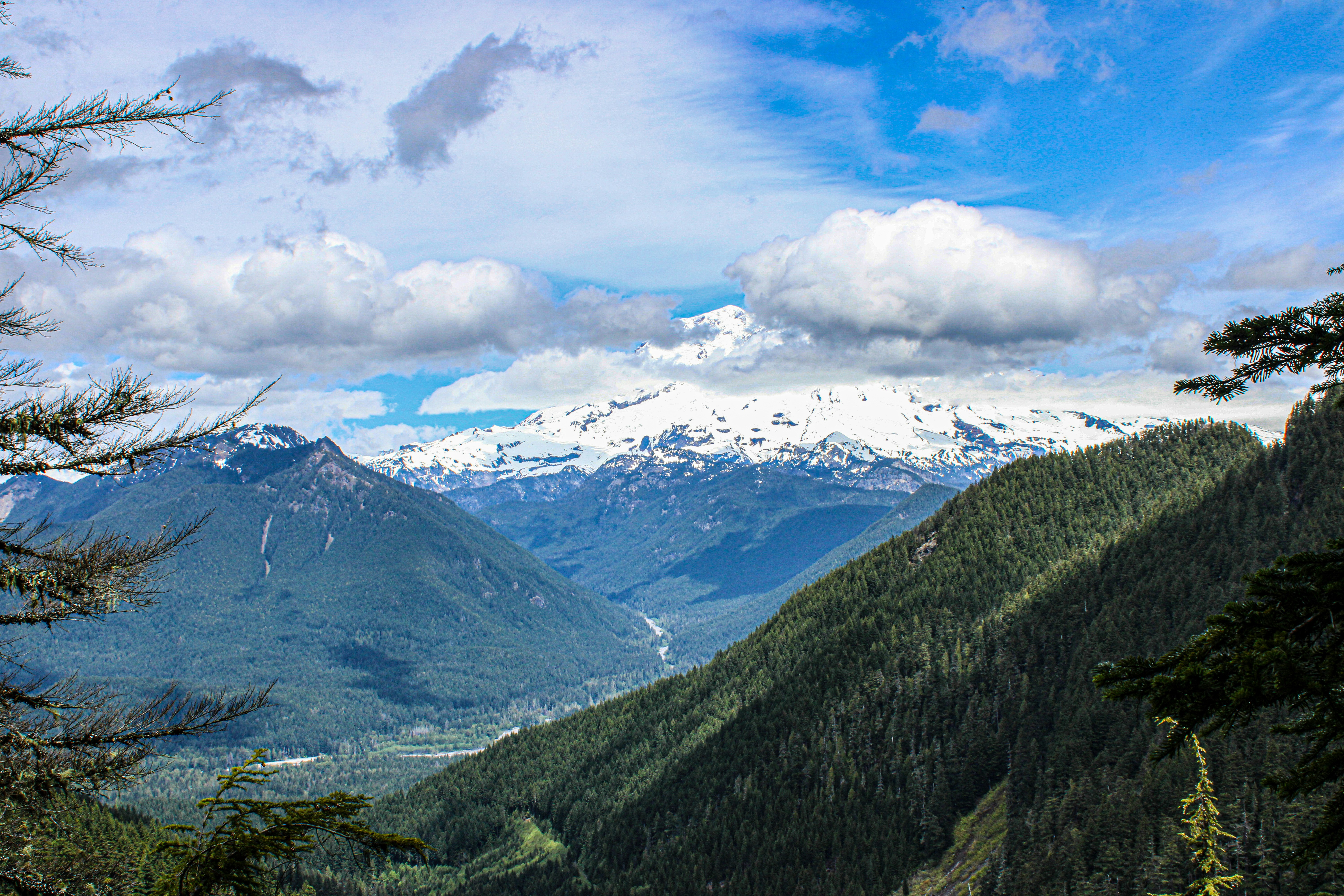 Photo by prphotography262