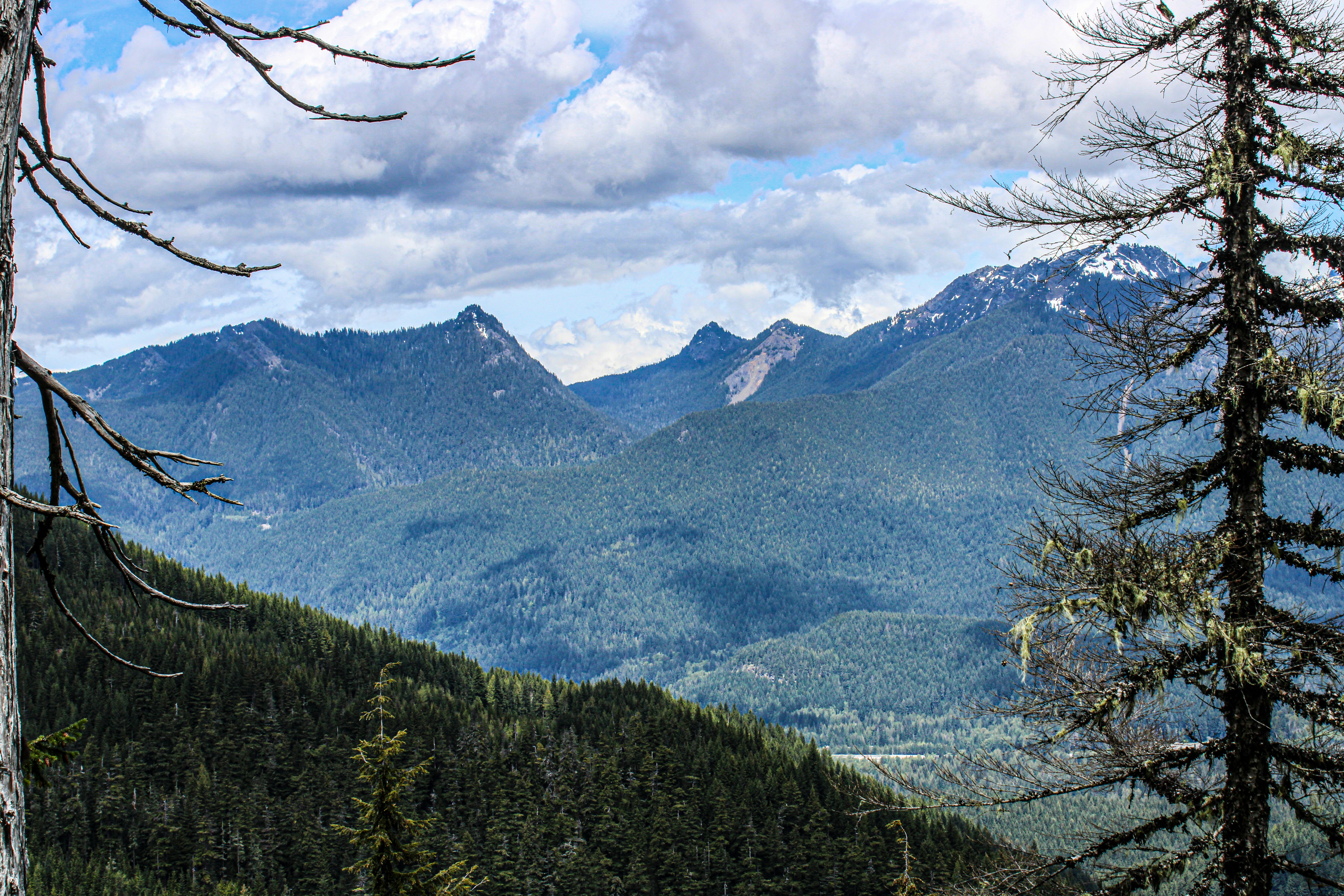 Photo by prphotography262