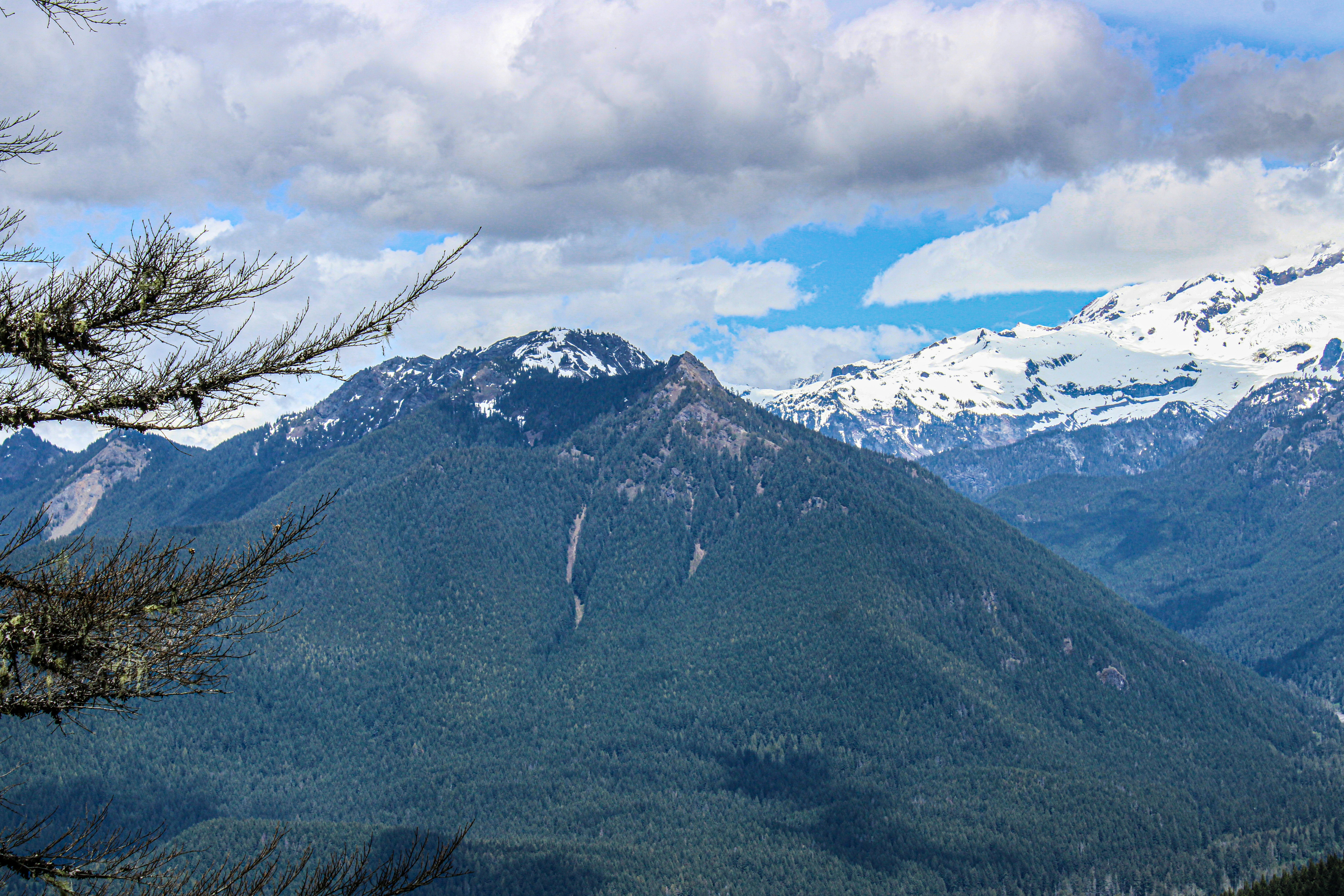 Photo by prphotography262