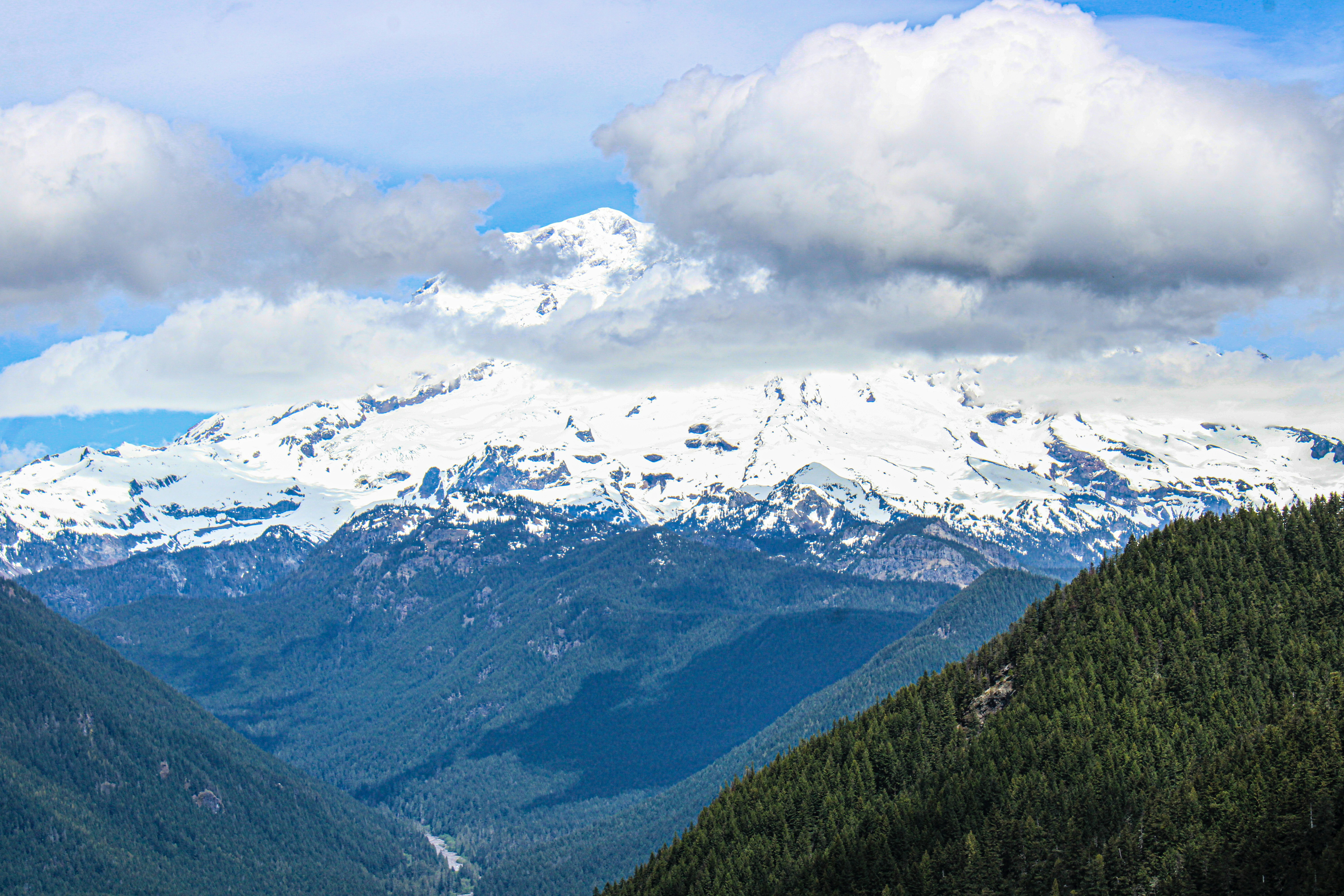 Photo by prphotography262