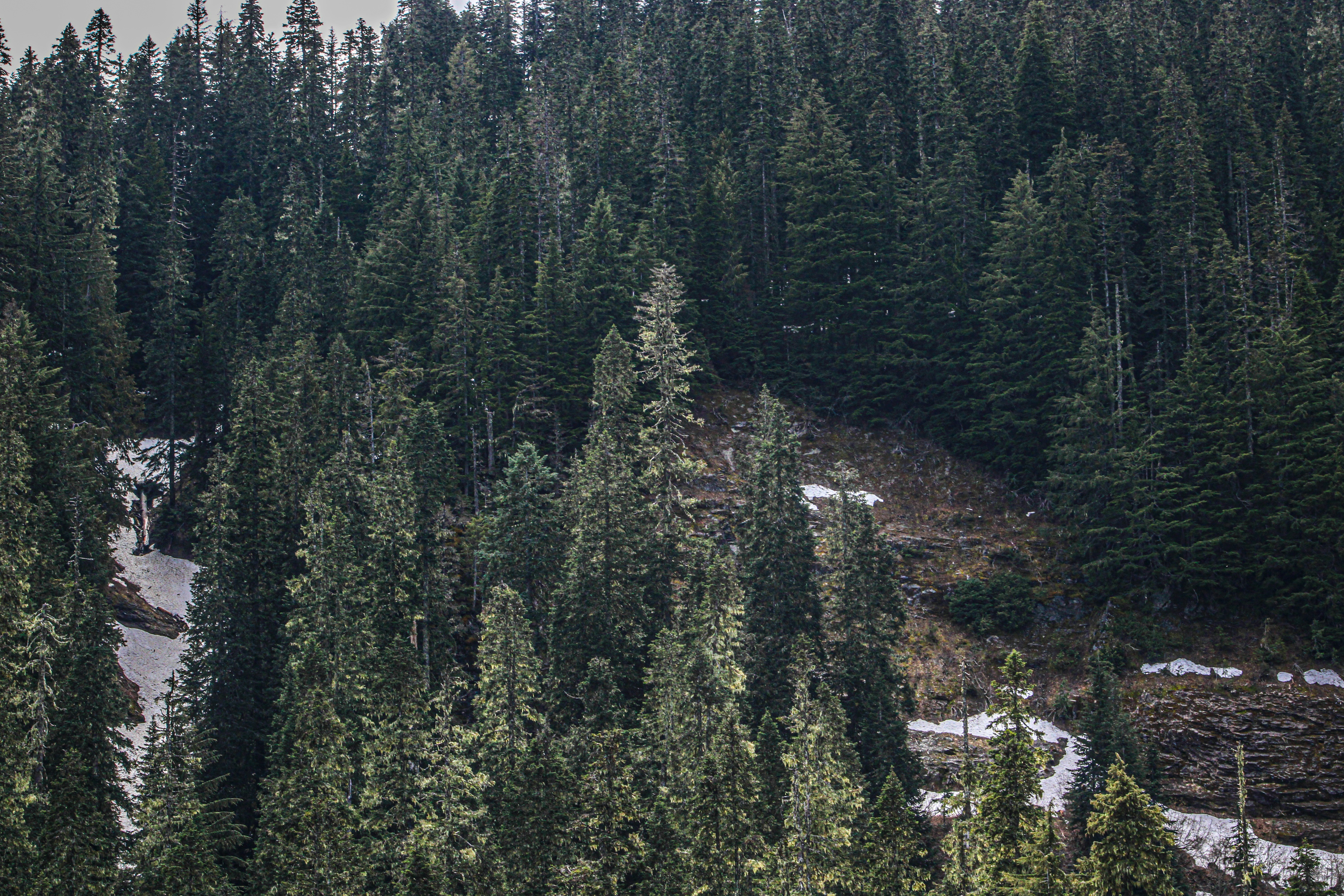 Photo by prphotography262