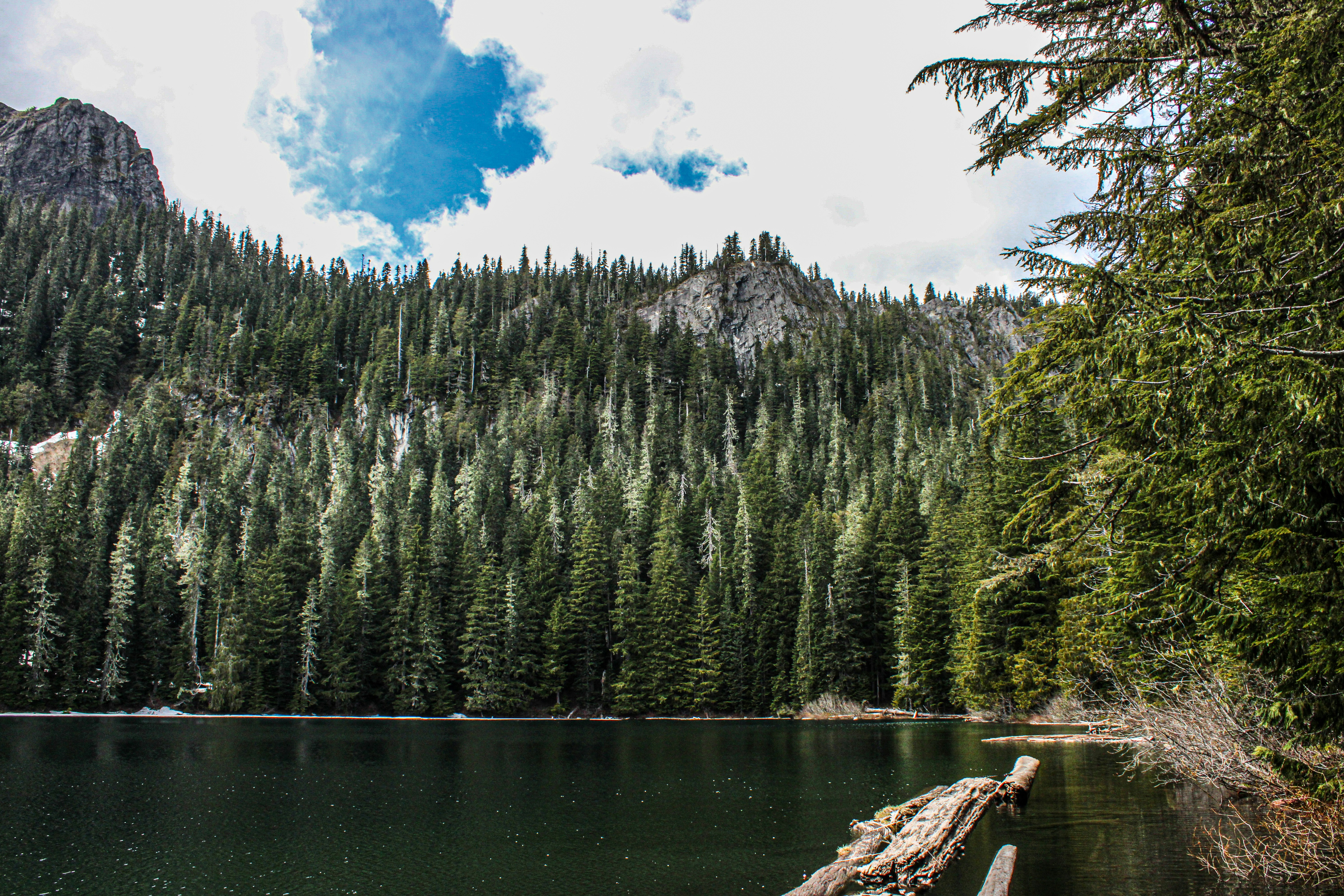 Photo by prphotography262