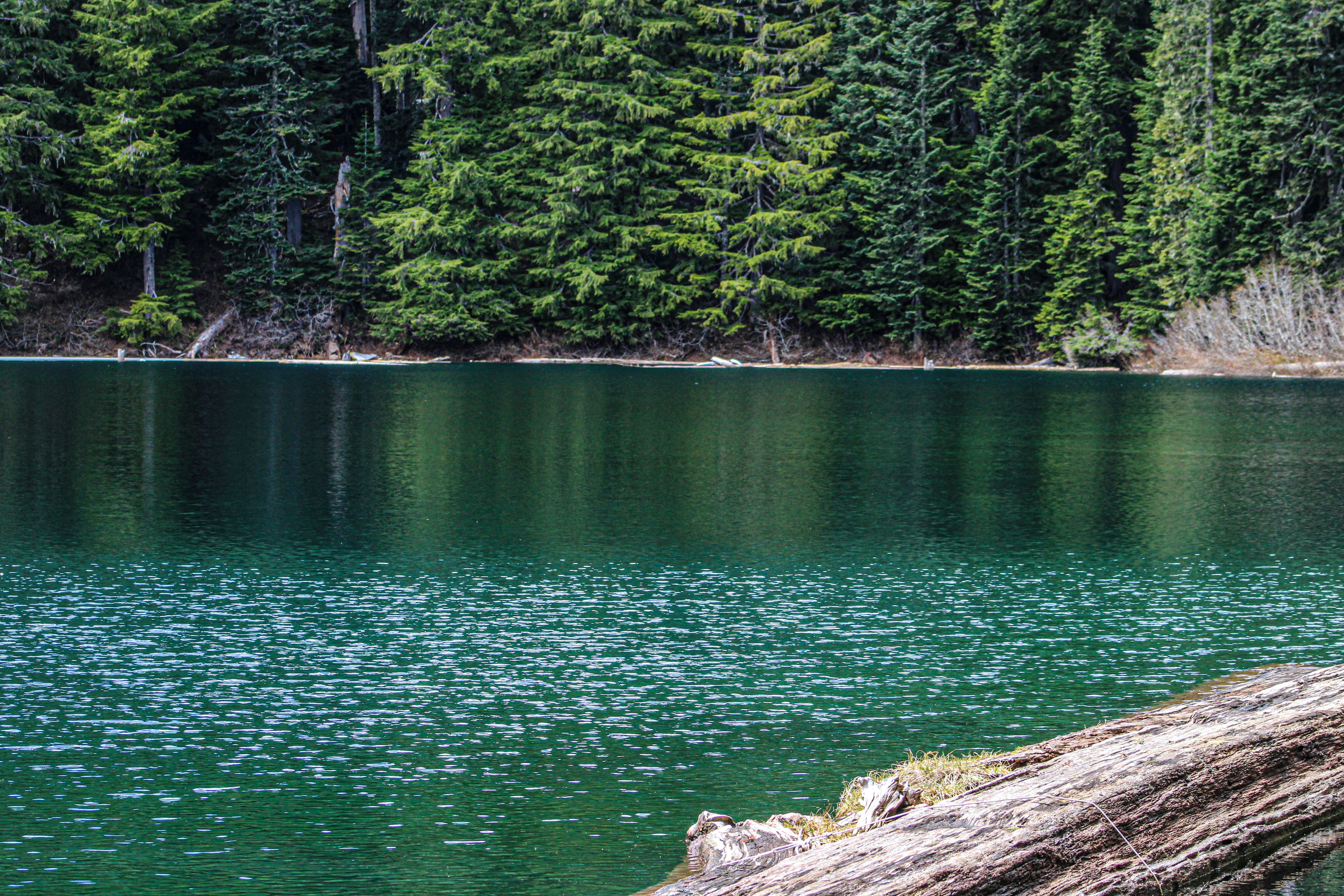 Photo by prphotography262