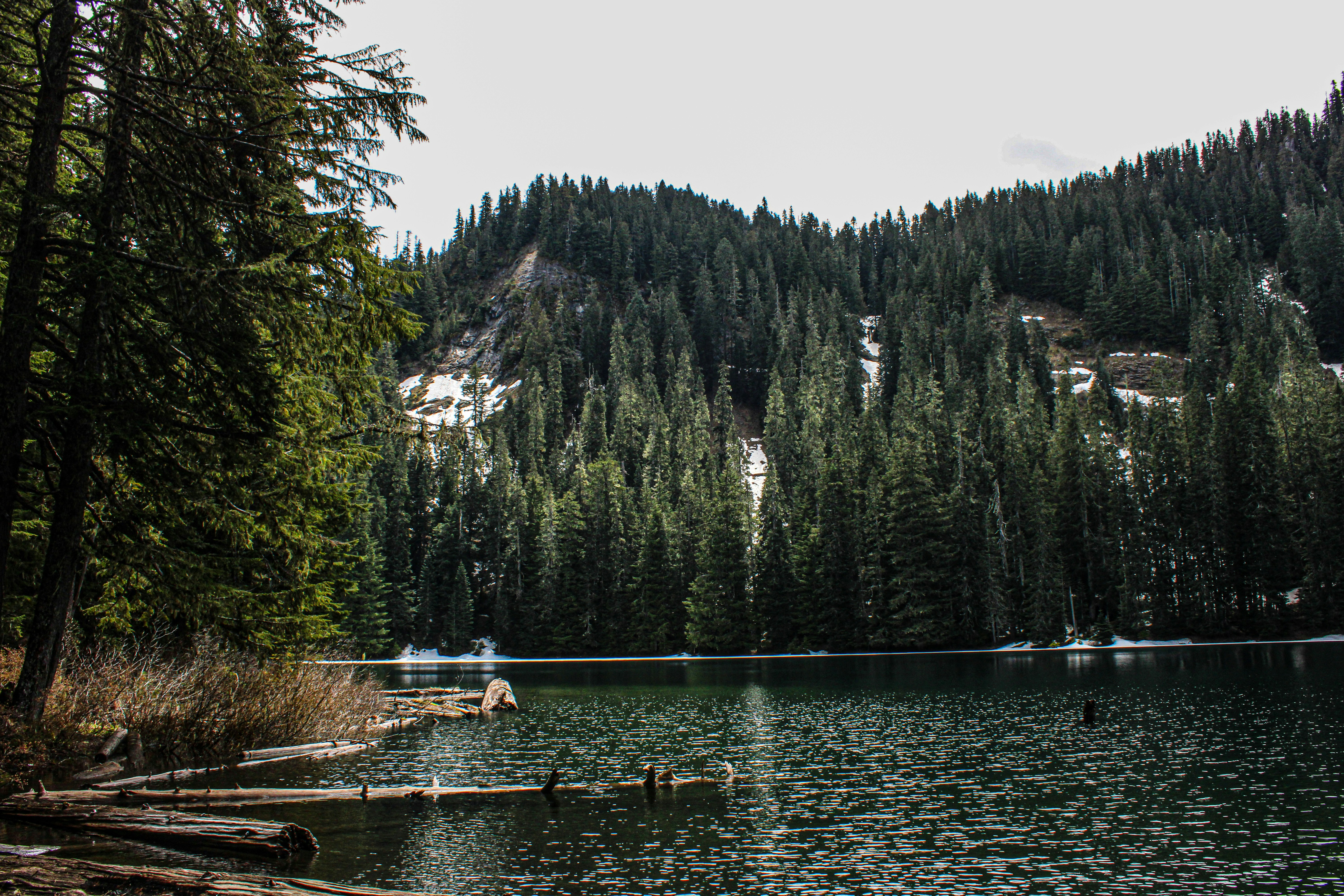 Photo by prphotography262