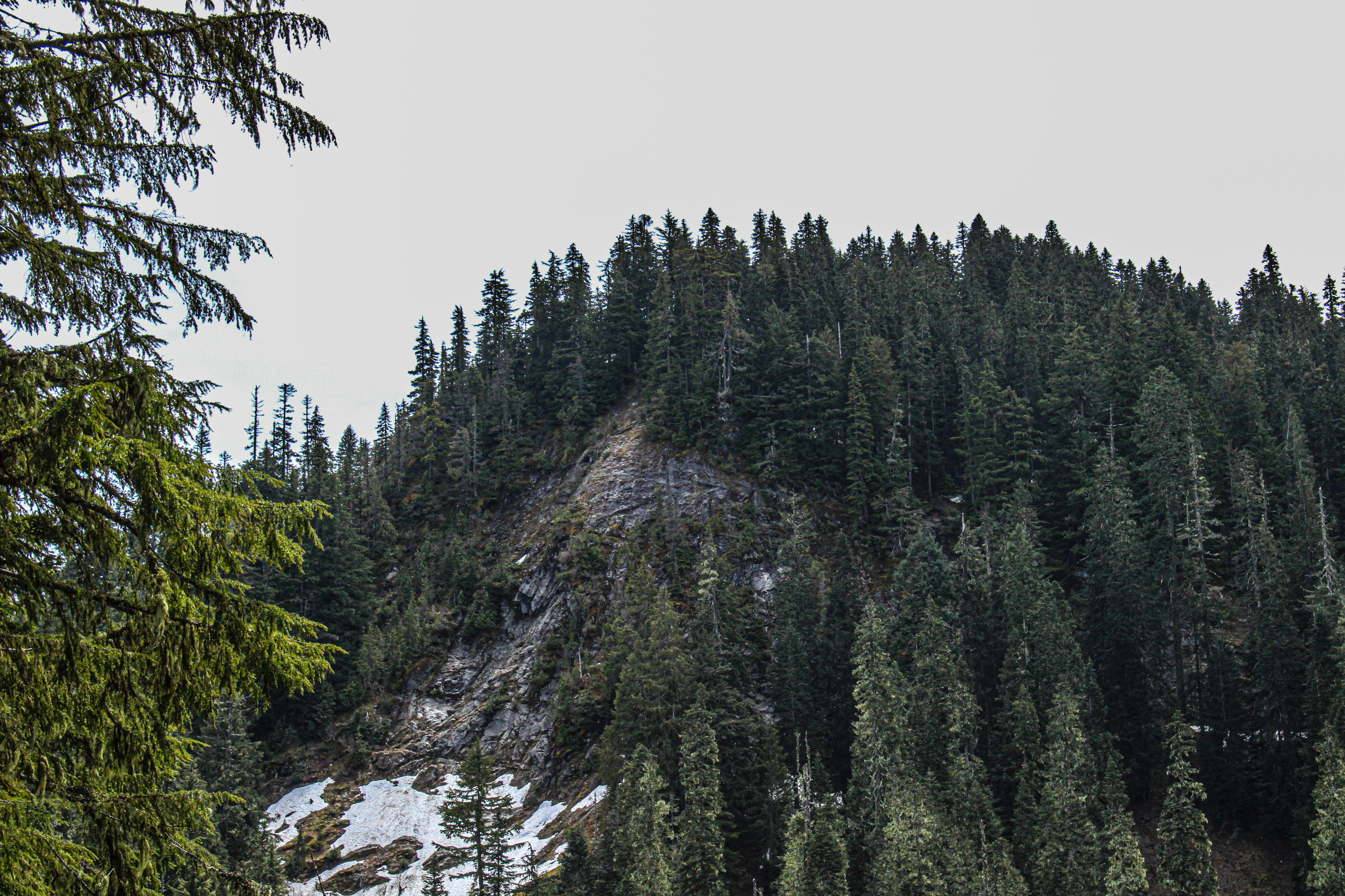 Photo by prphotography262