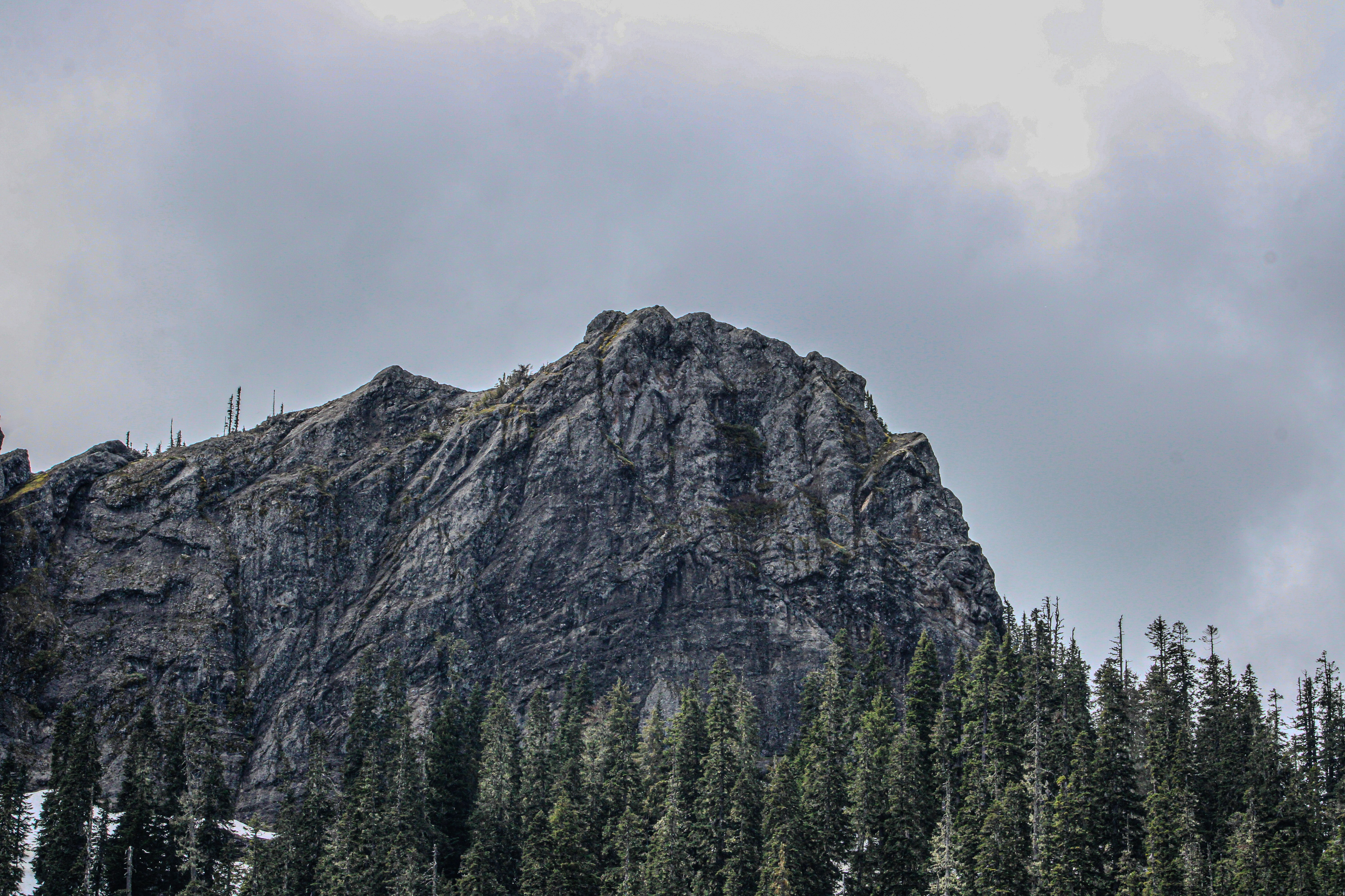 Photo by prphotography262