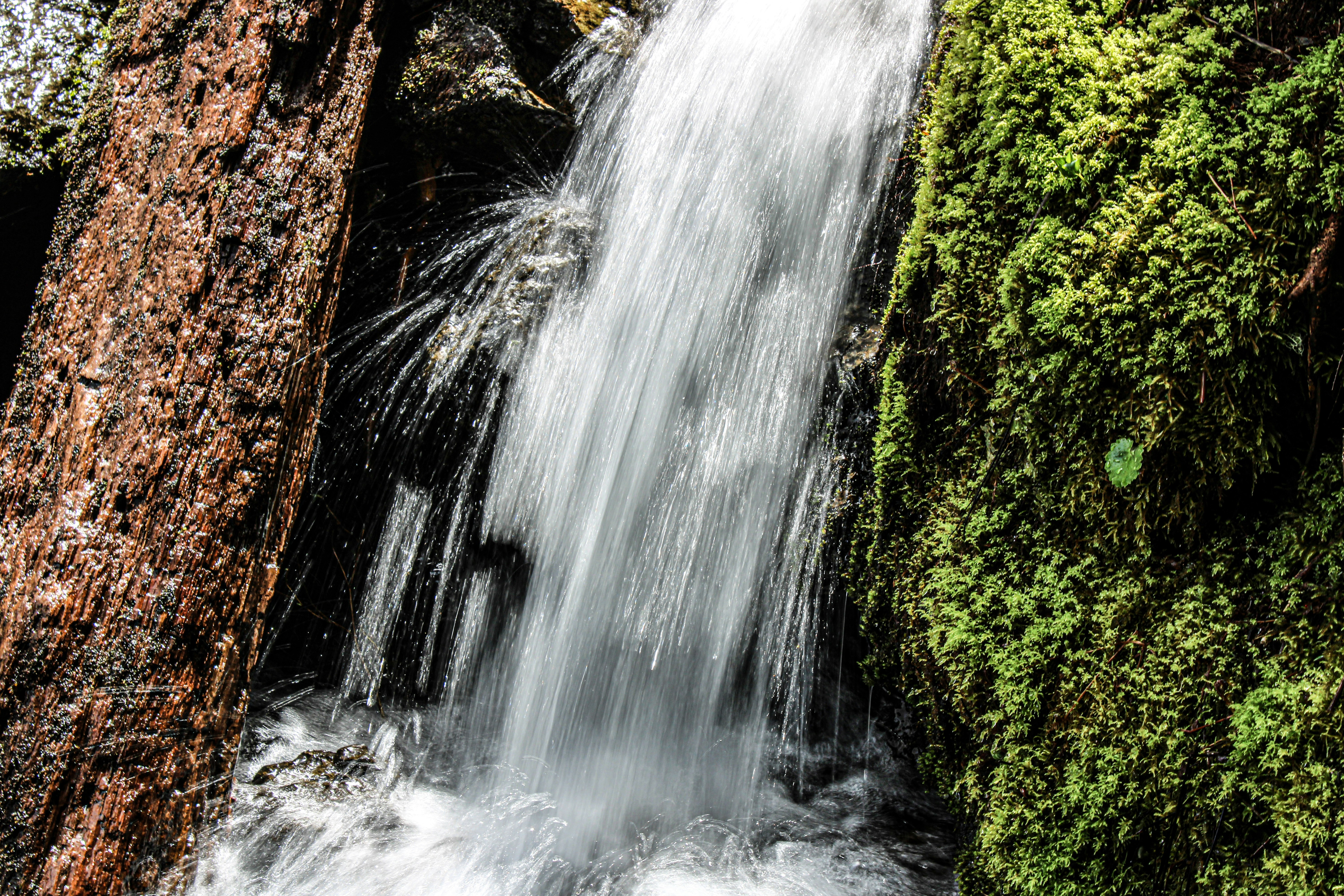 Photo by prphotography262