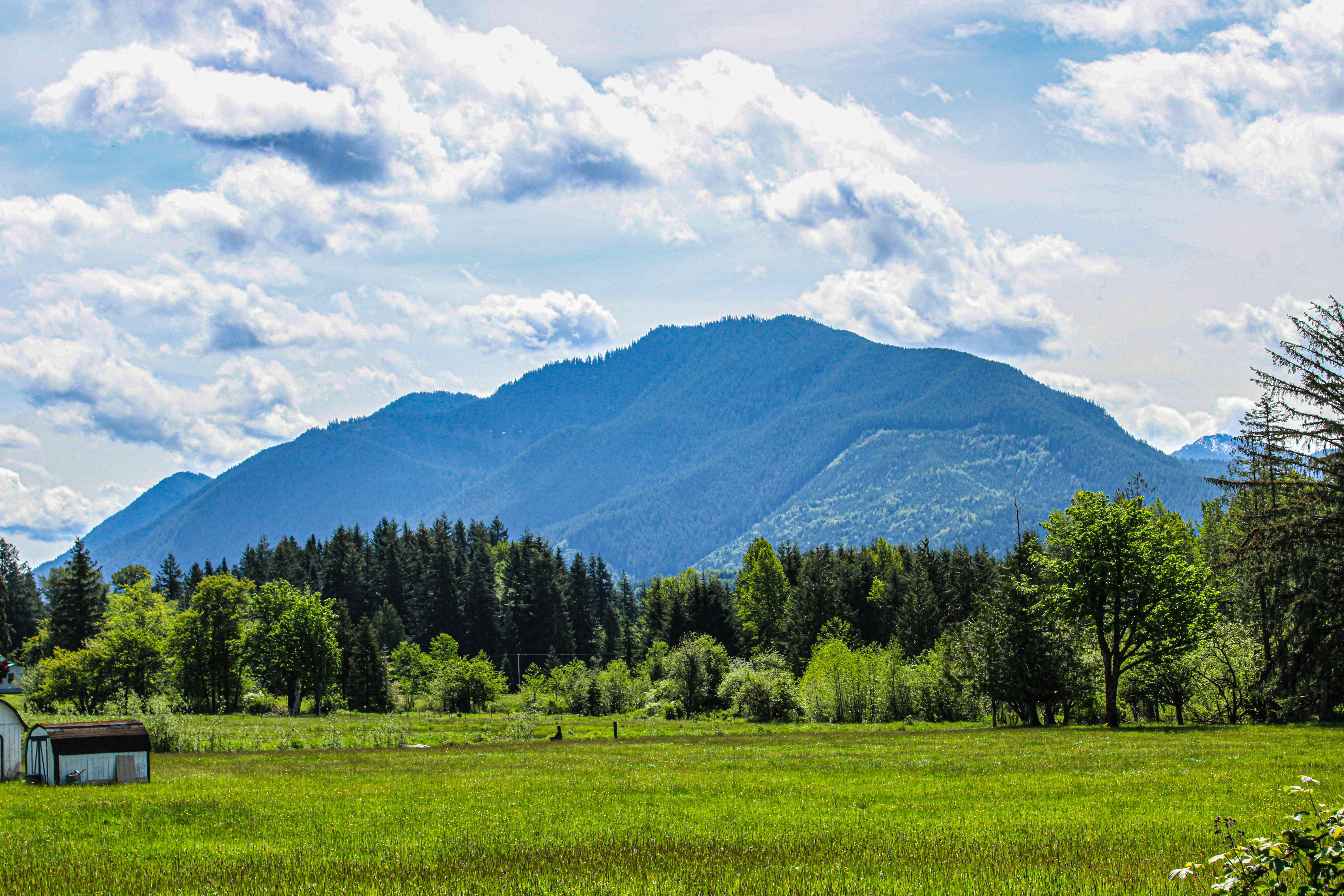 Photo by prphotography262