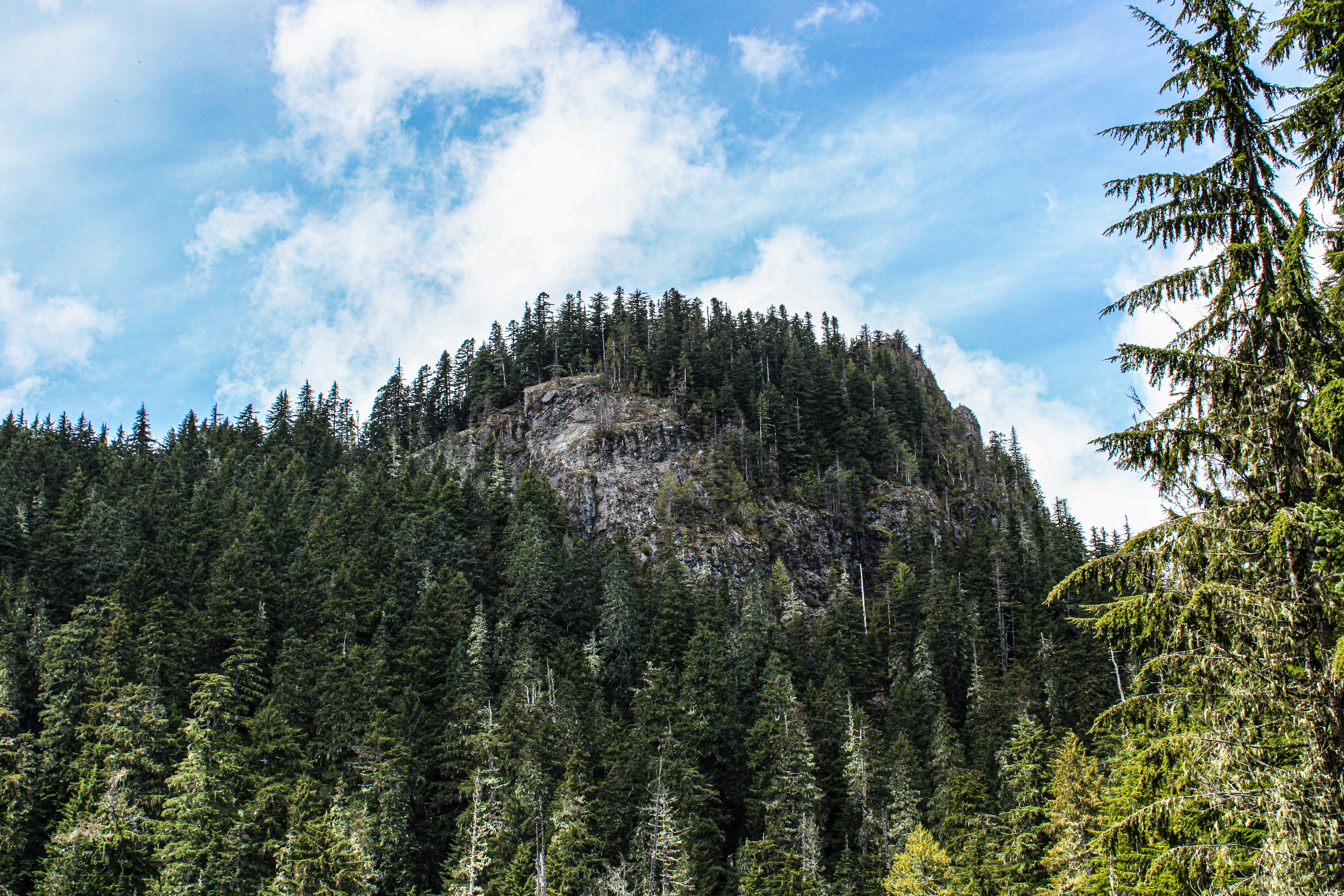 Photo by prphotography262