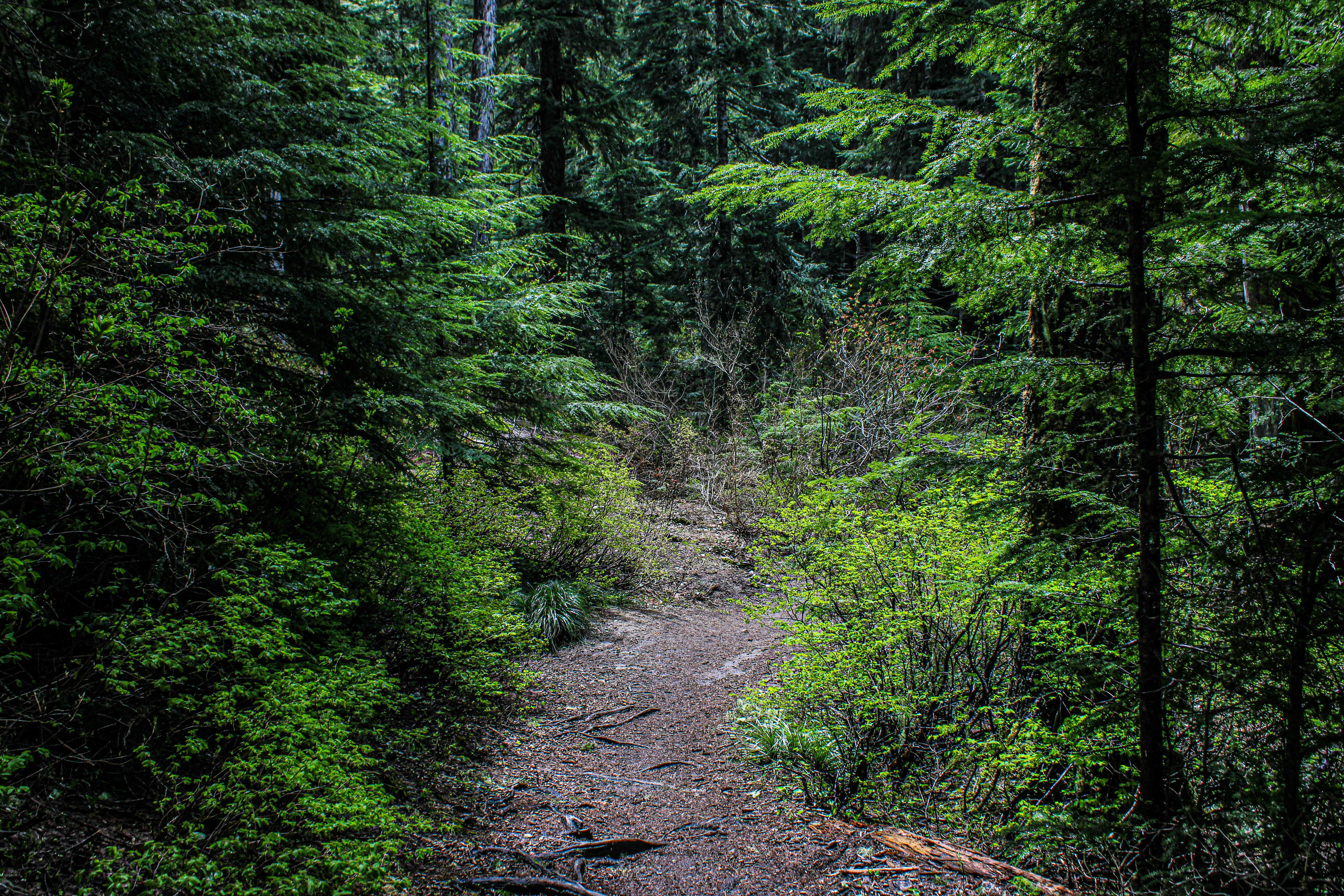 Photo by prphotography262