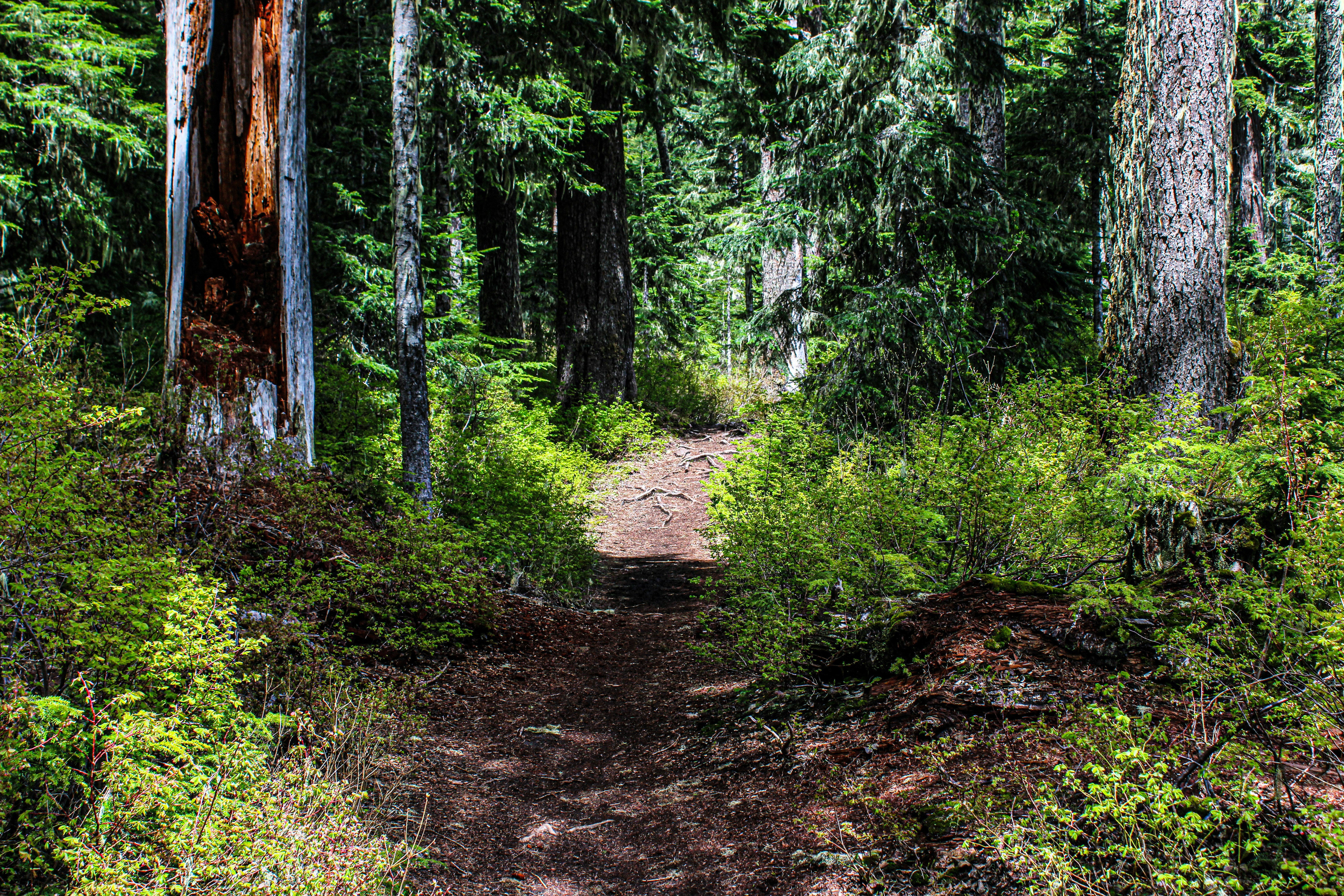 Photo by prphotography262