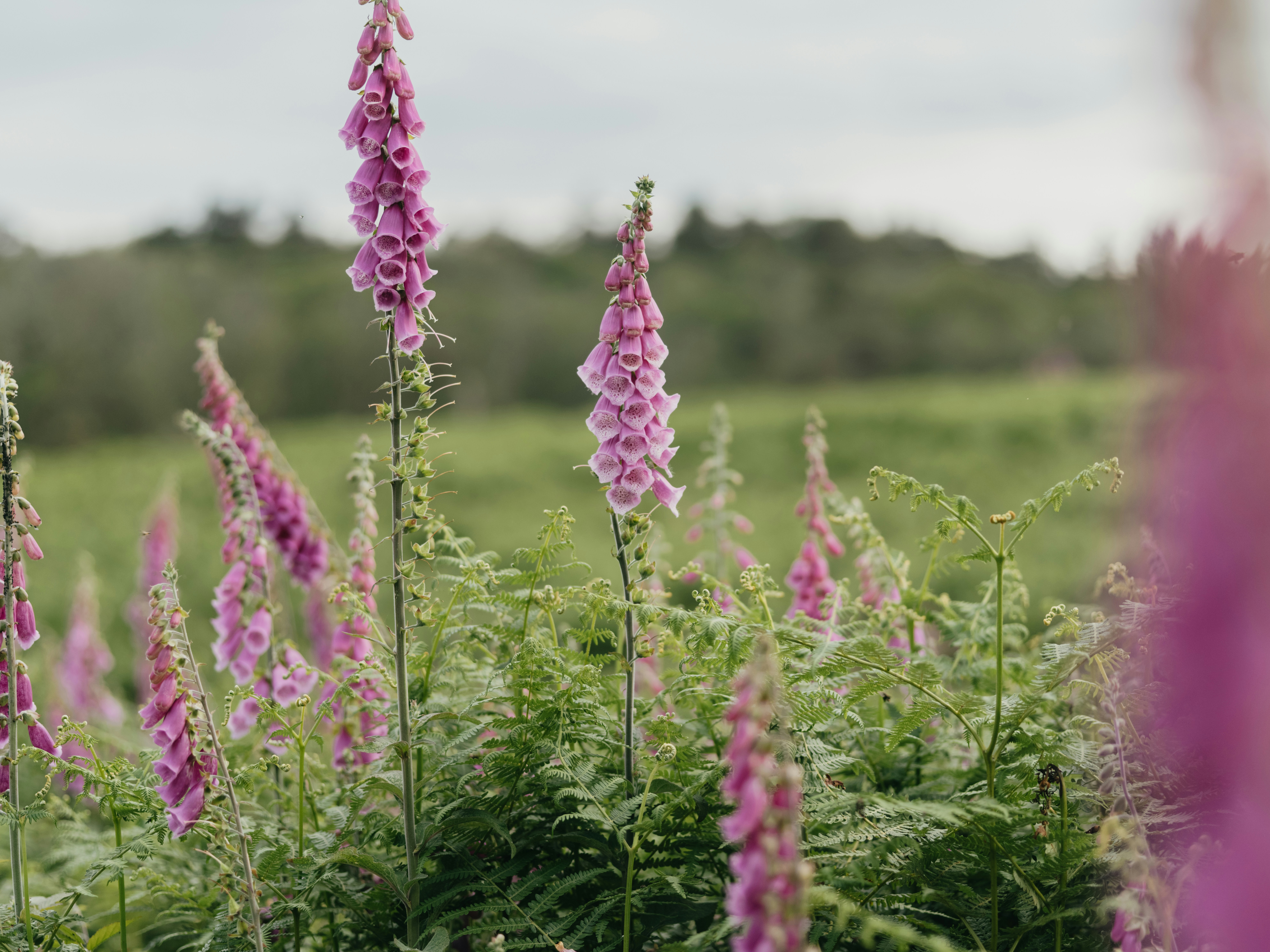 Photo by anniespratt