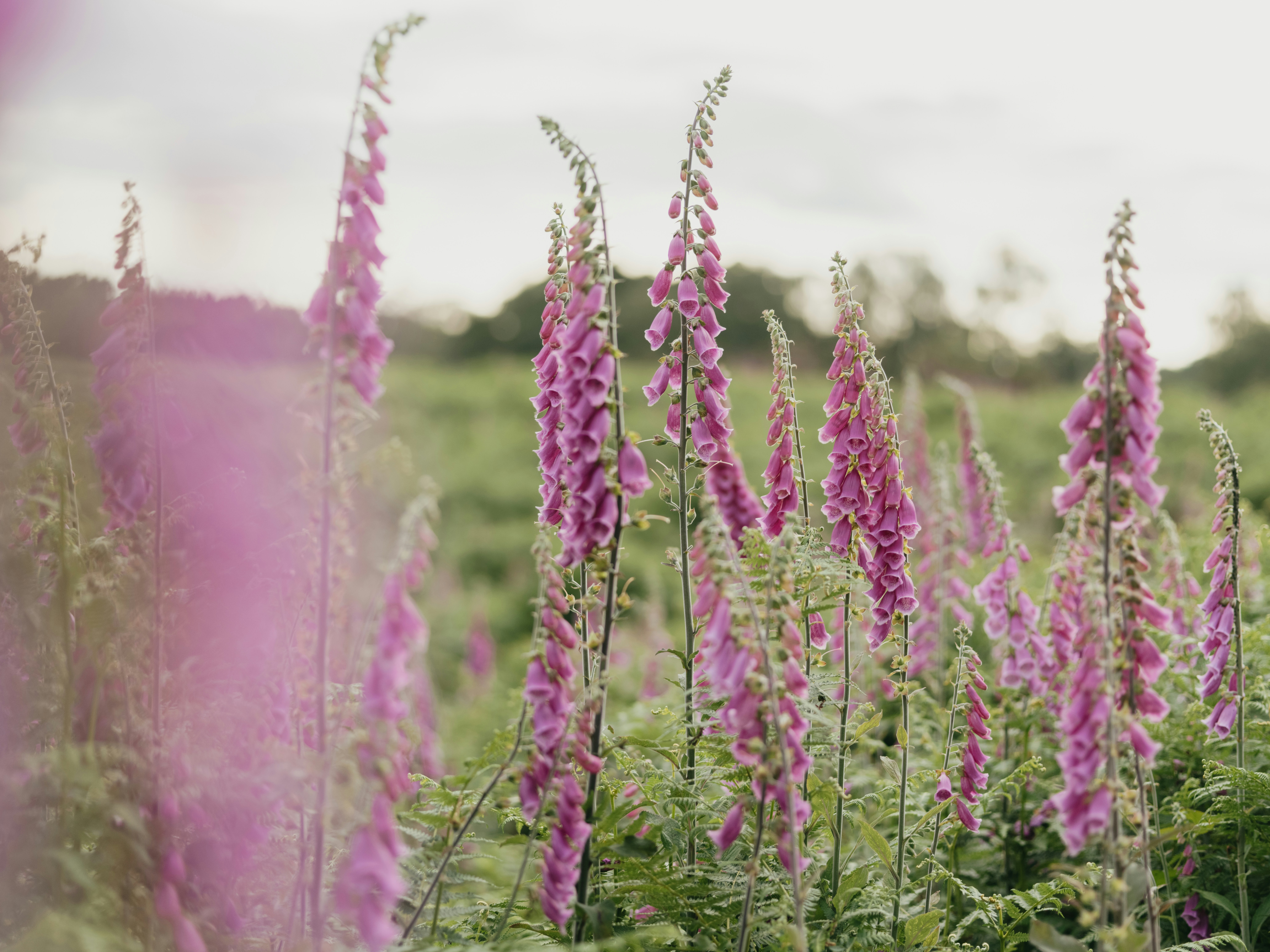 Photo by anniespratt
