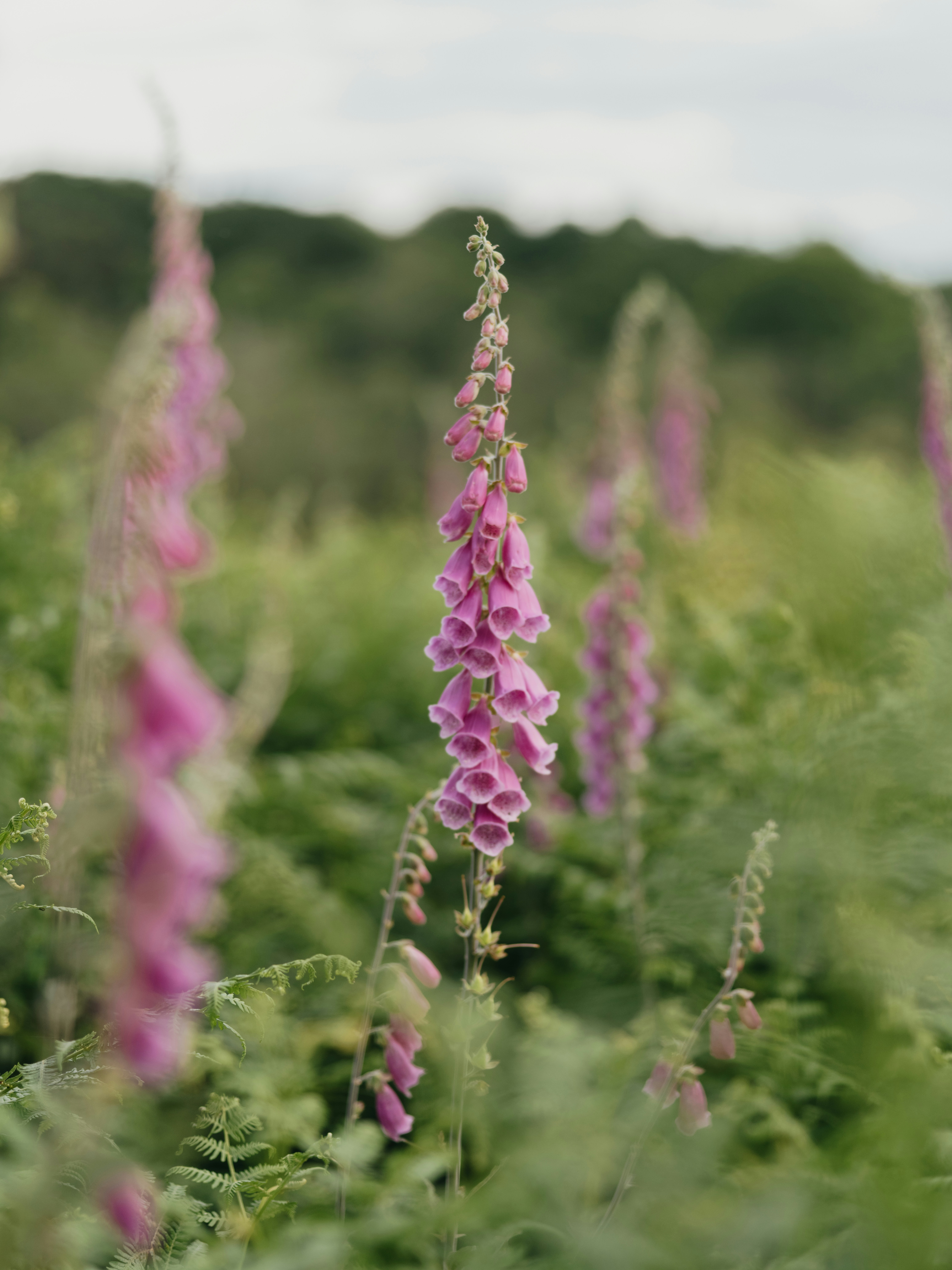 Photo by anniespratt