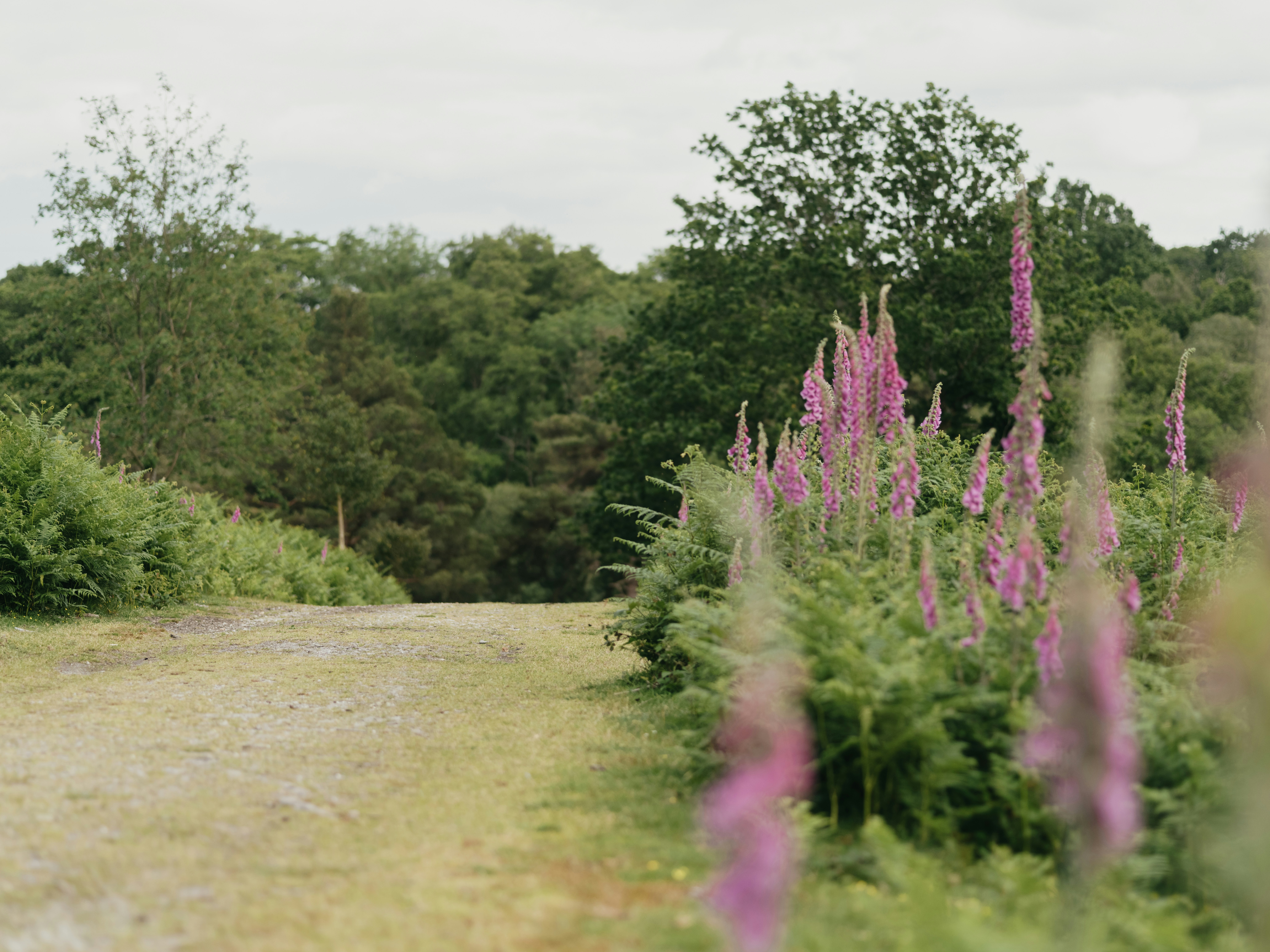 Photo by anniespratt
