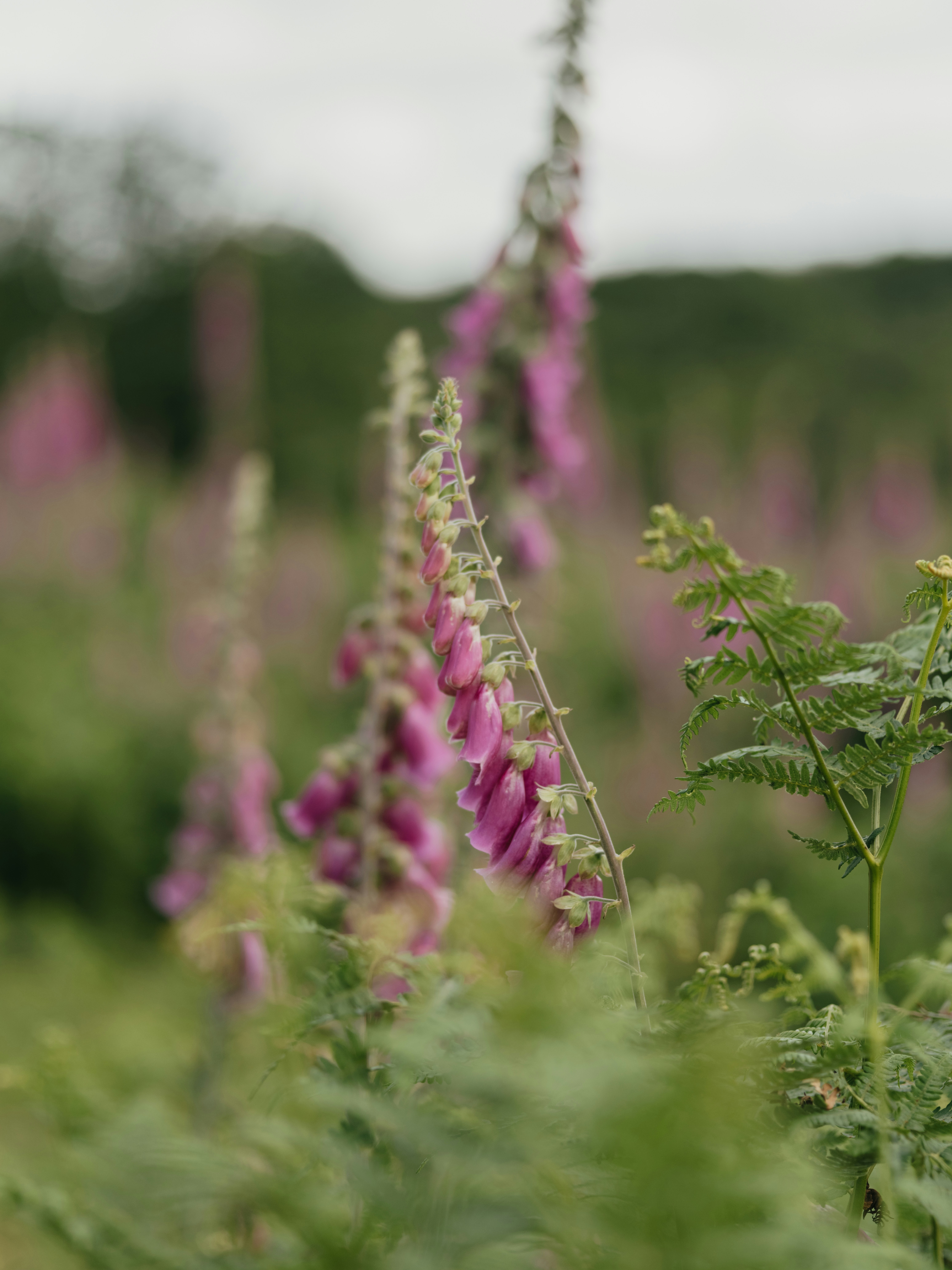 Photo by anniespratt