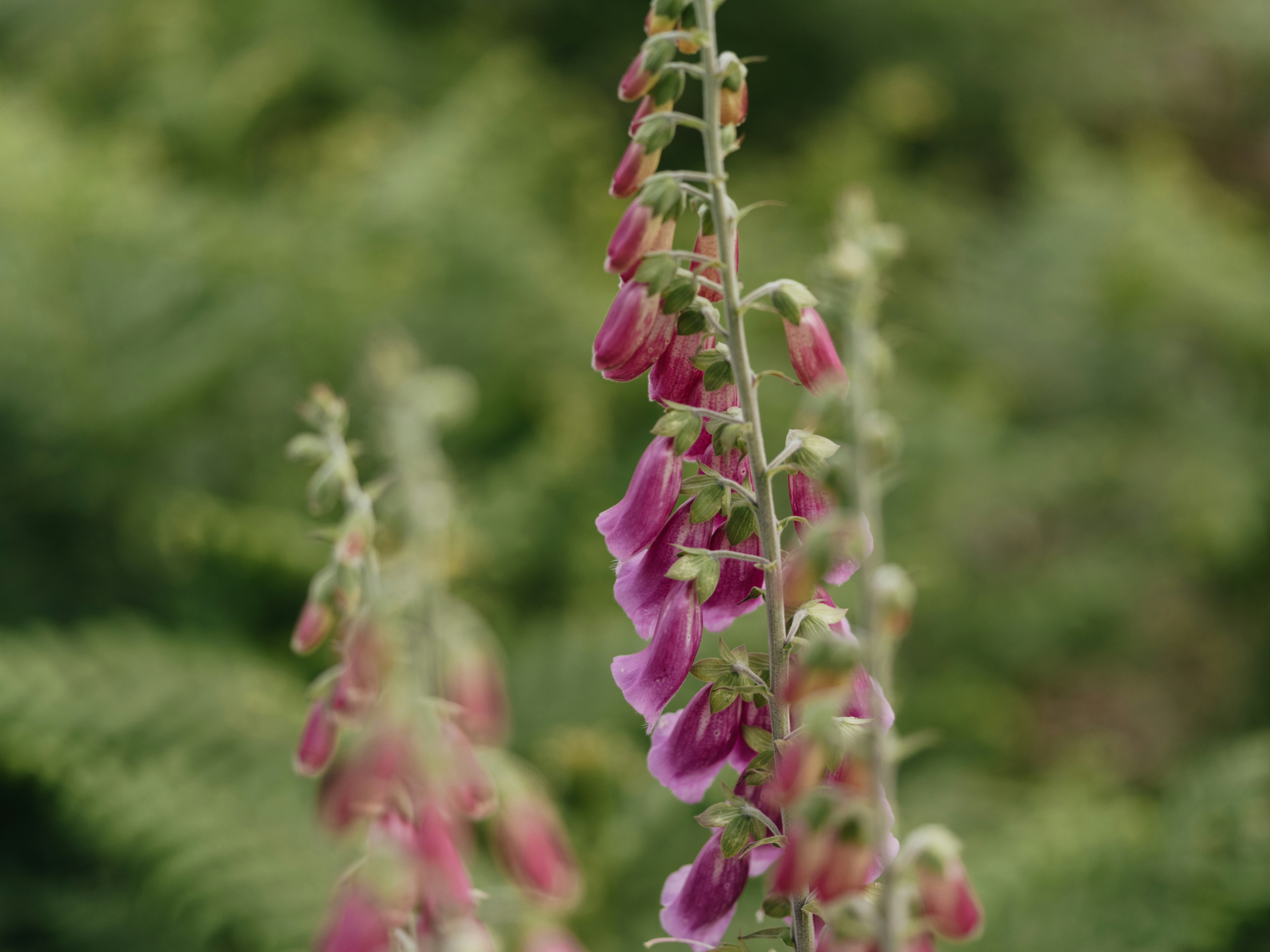 Photo by anniespratt