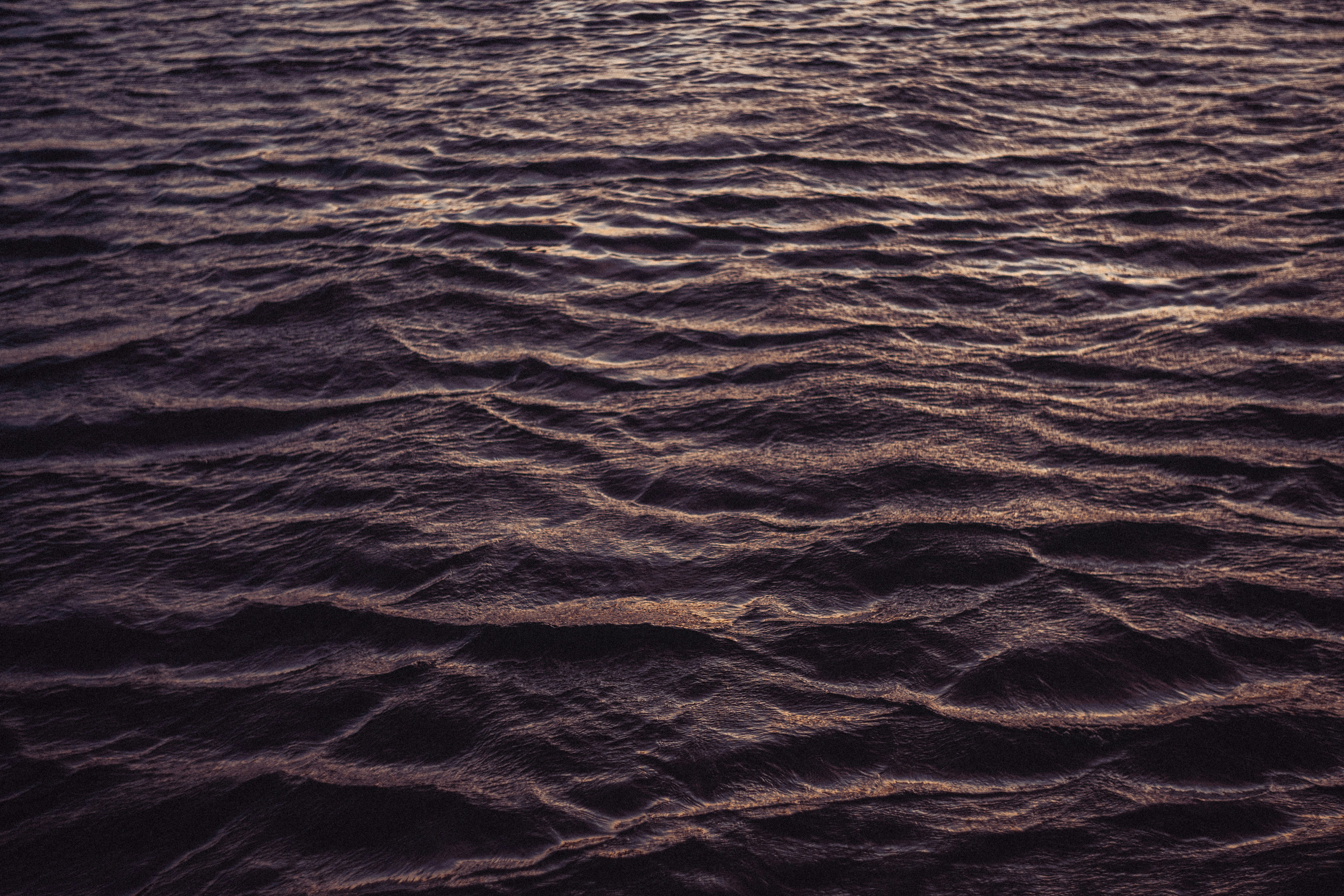 Photo by leob_photography