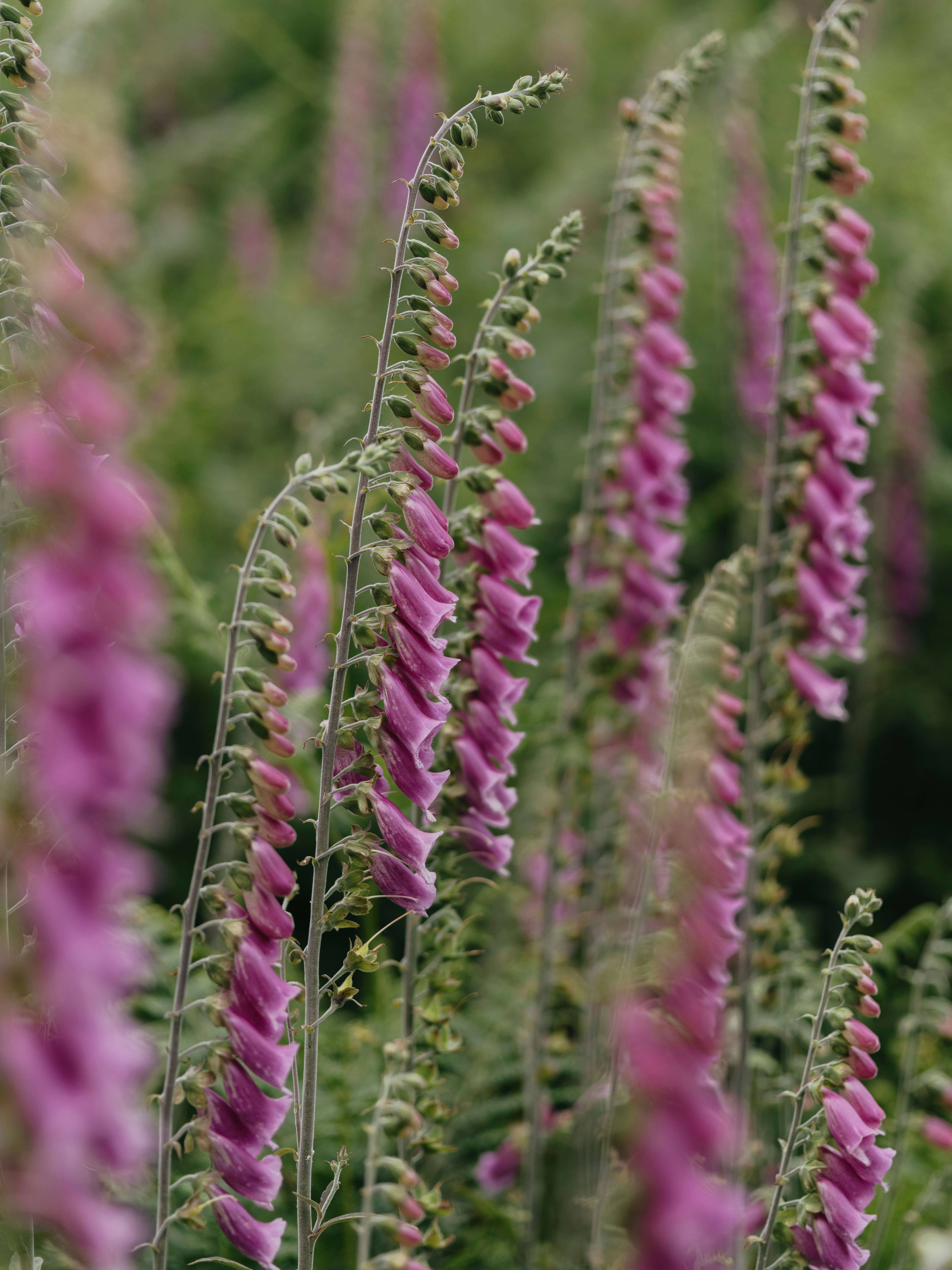 Photo by anniespratt