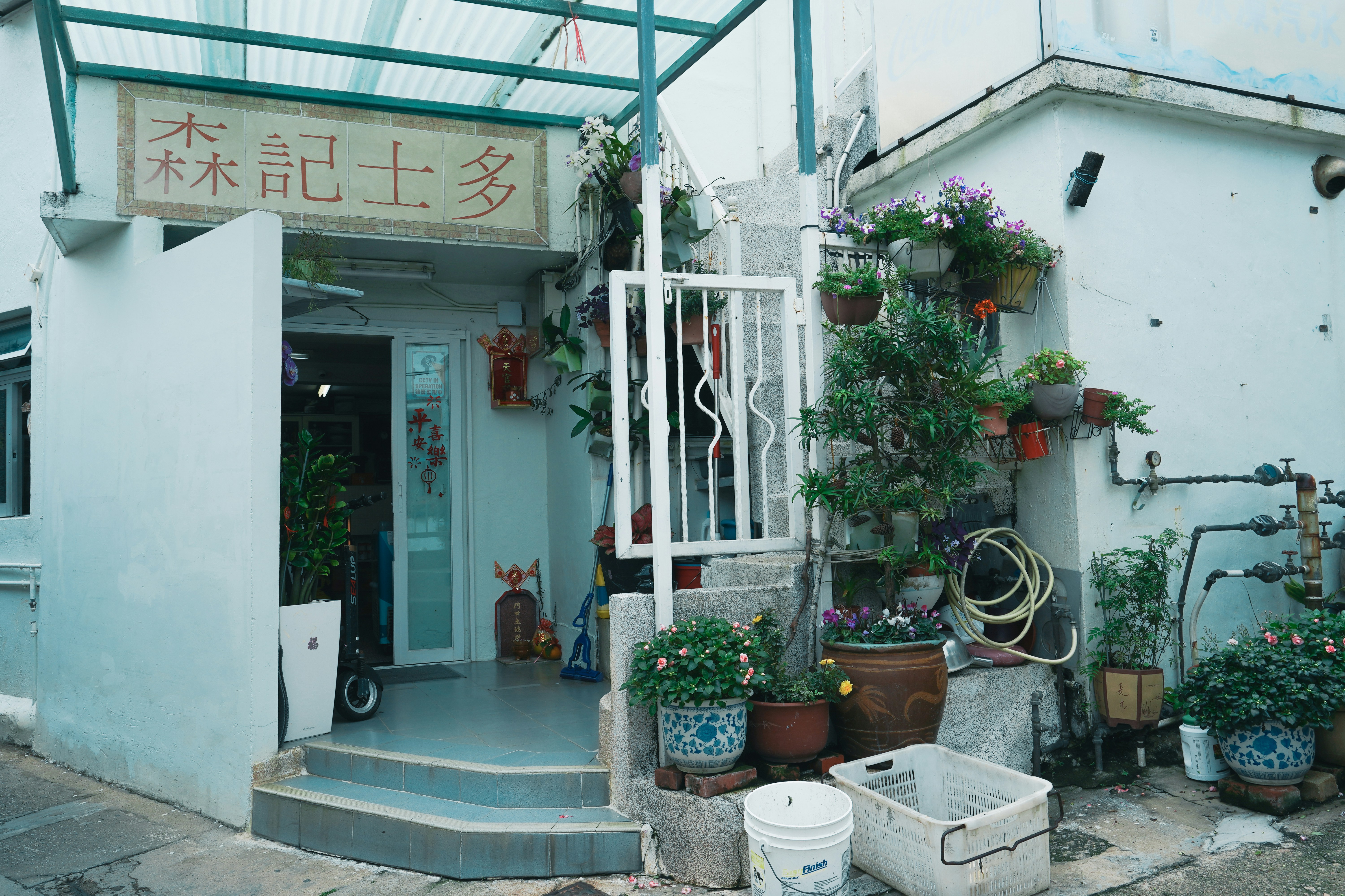 Photo by chelaxydp
