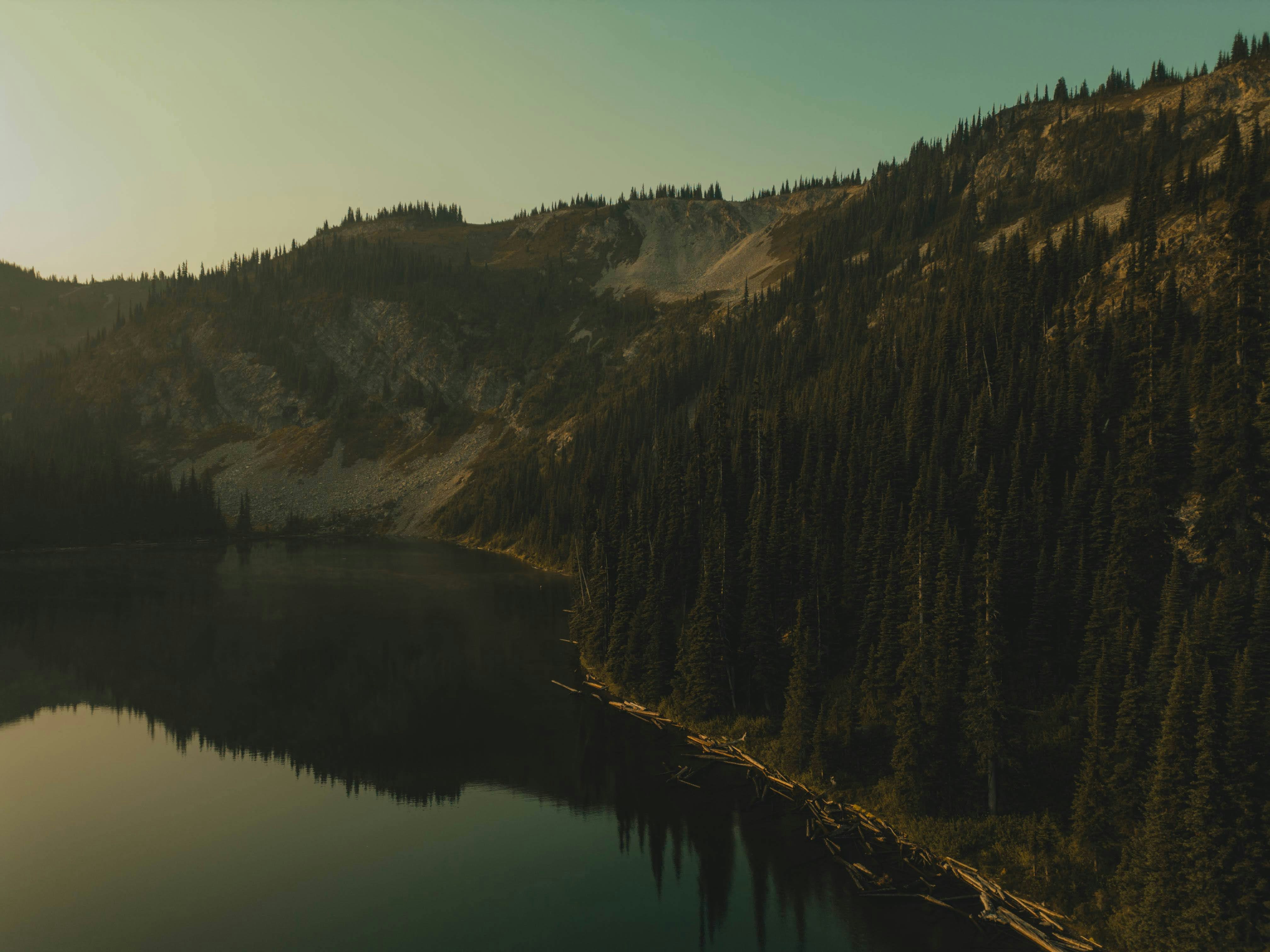 Photo by trail_mix_mike