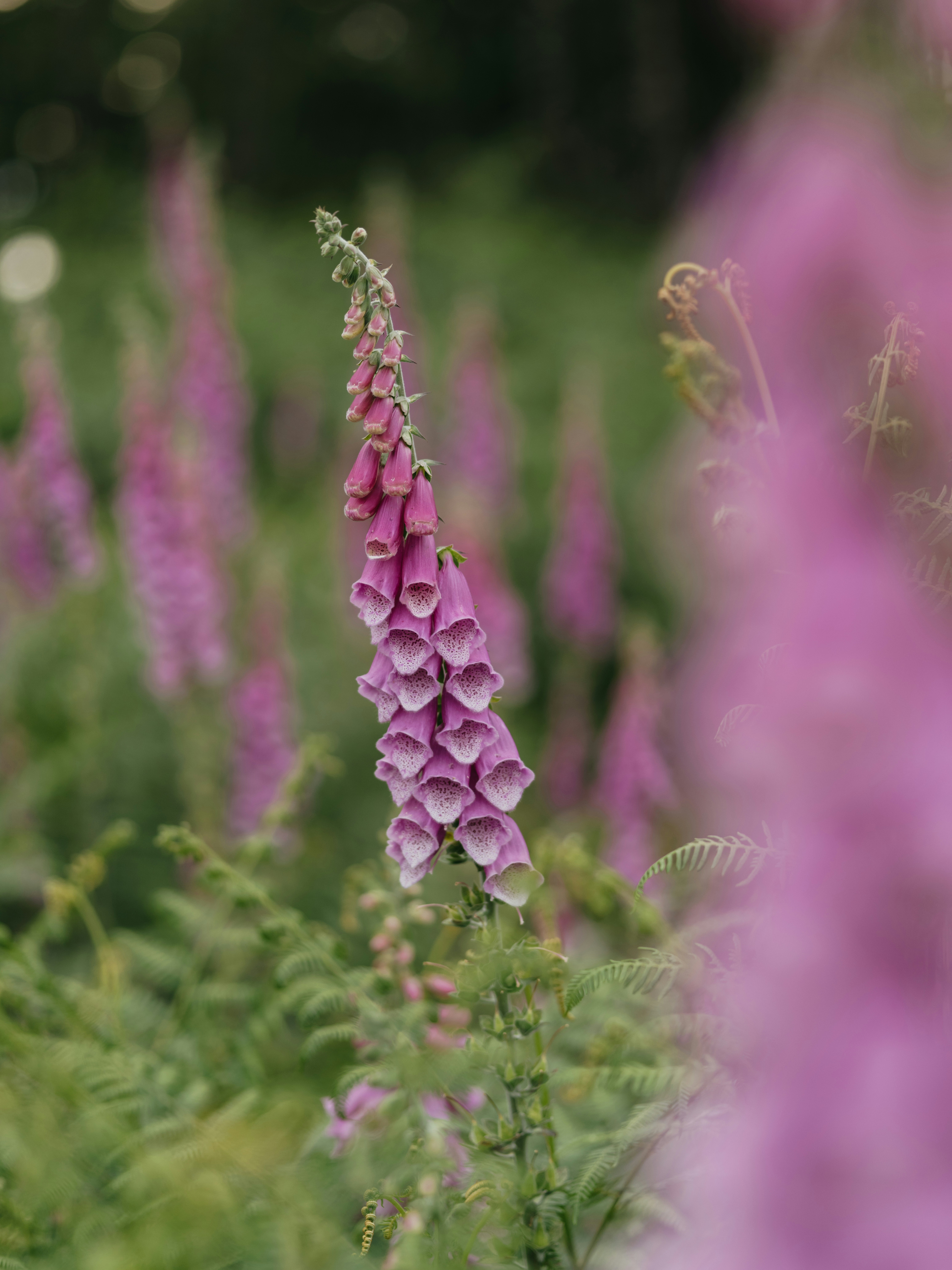 Photo by anniespratt