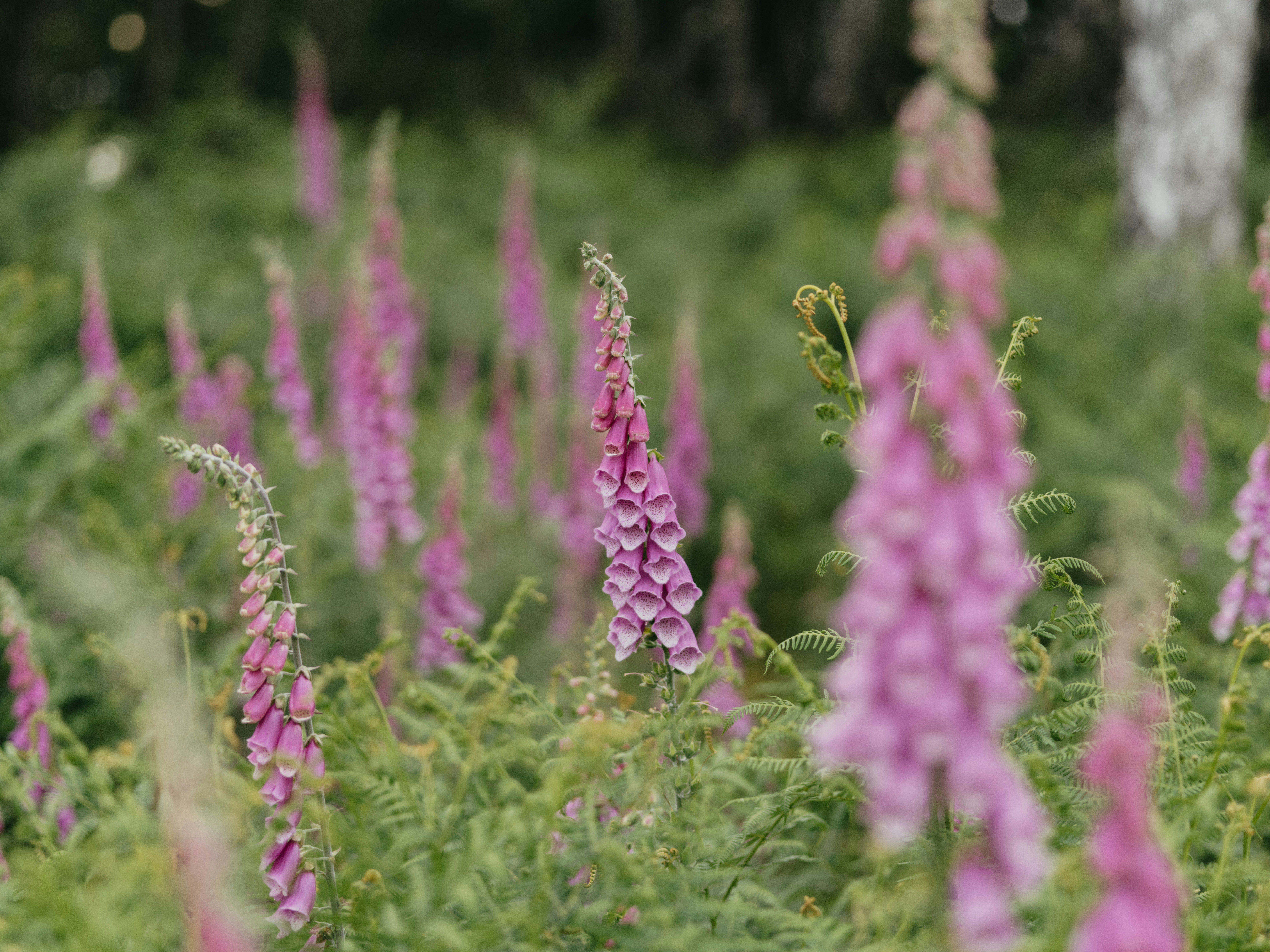 Photo by anniespratt