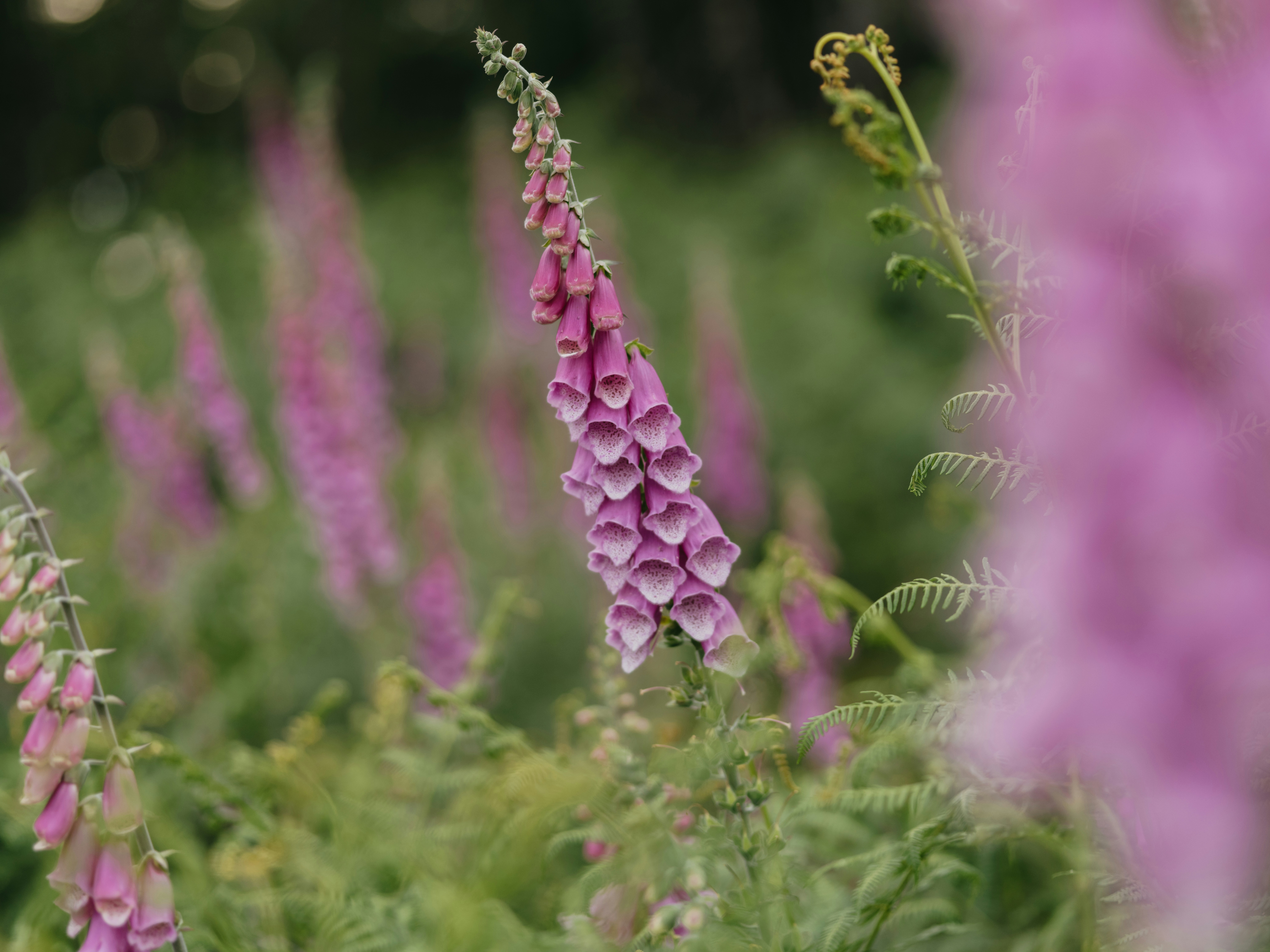 Photo by anniespratt