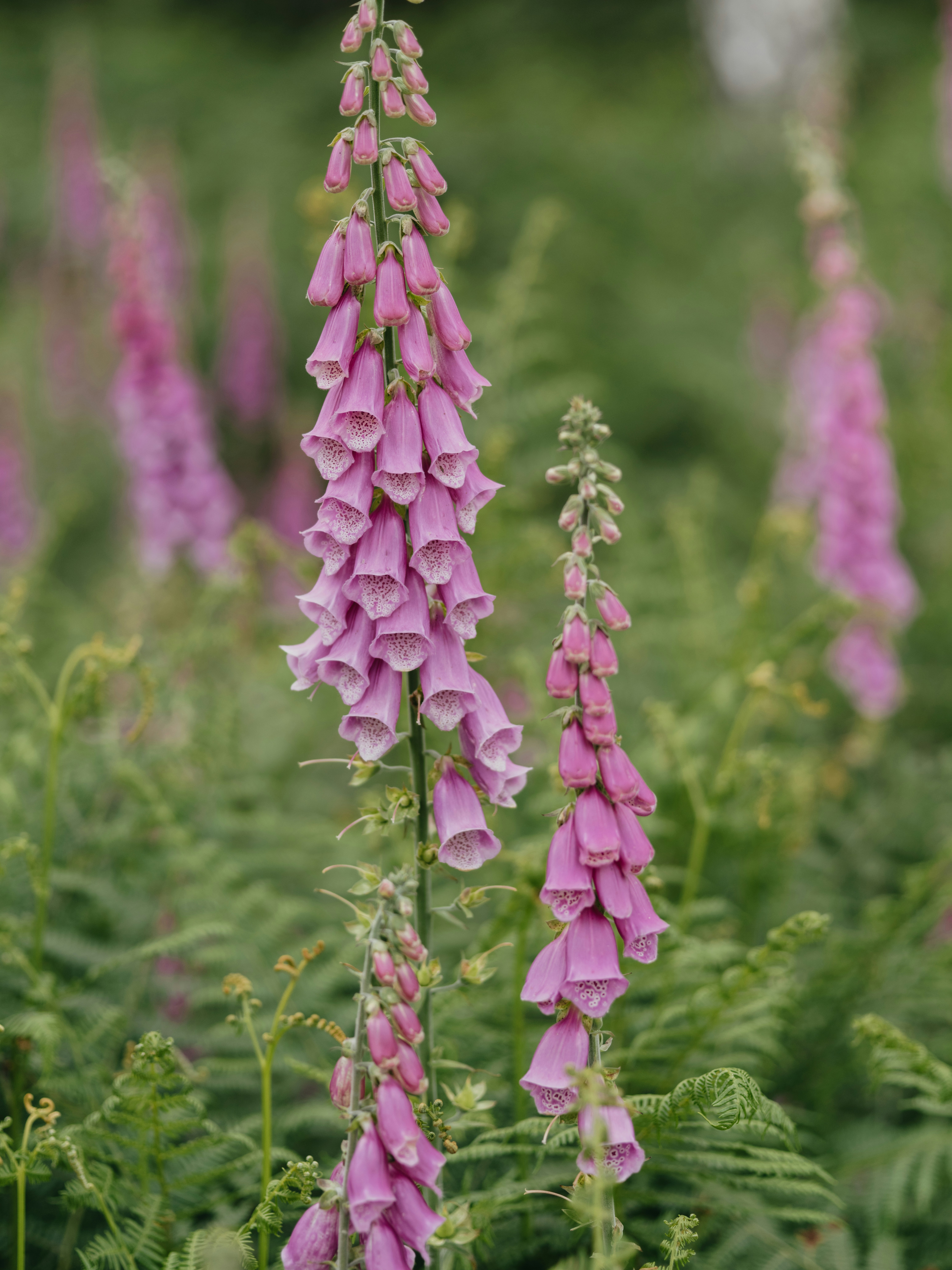 Photo by anniespratt