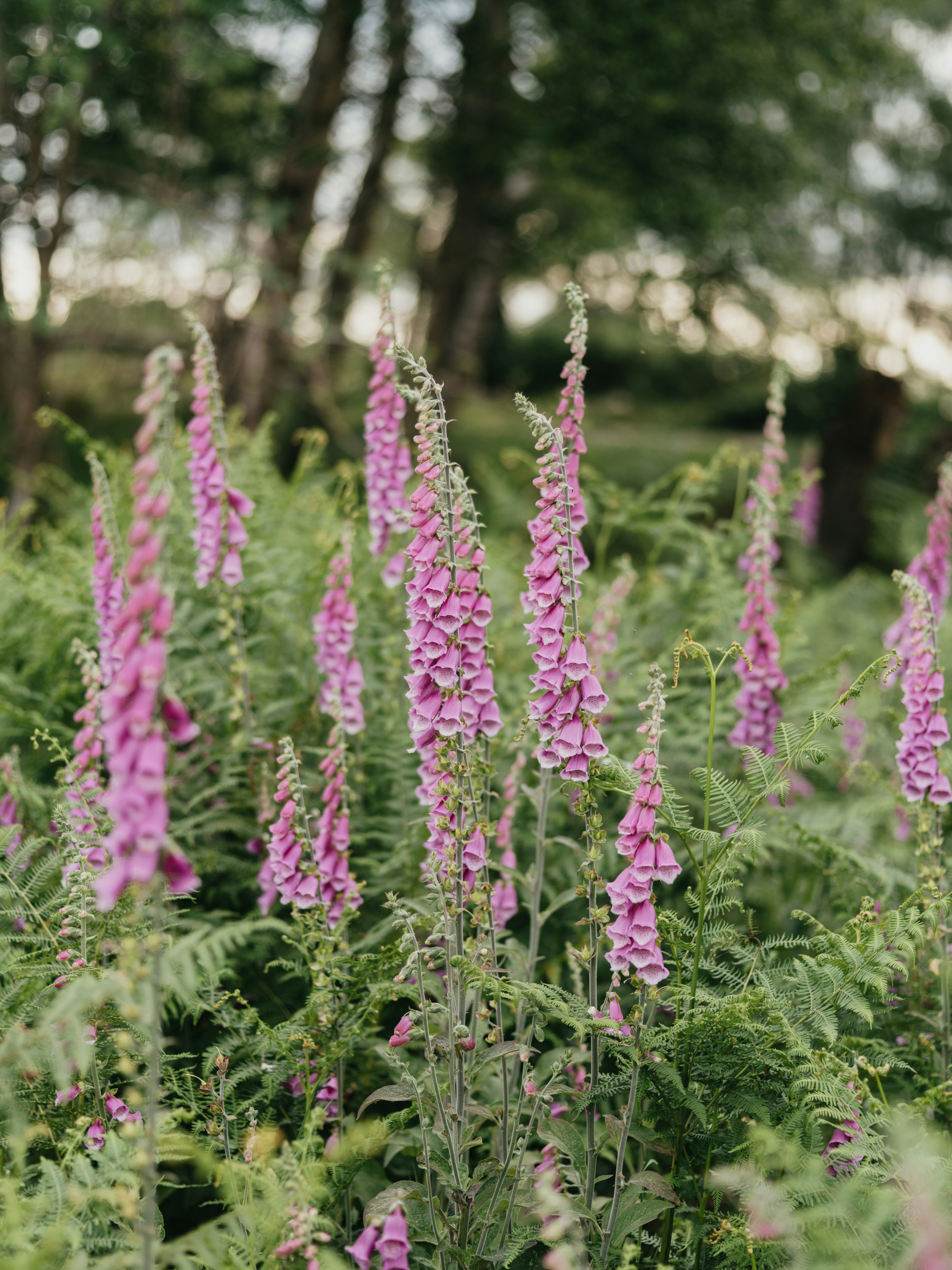 Photo by anniespratt