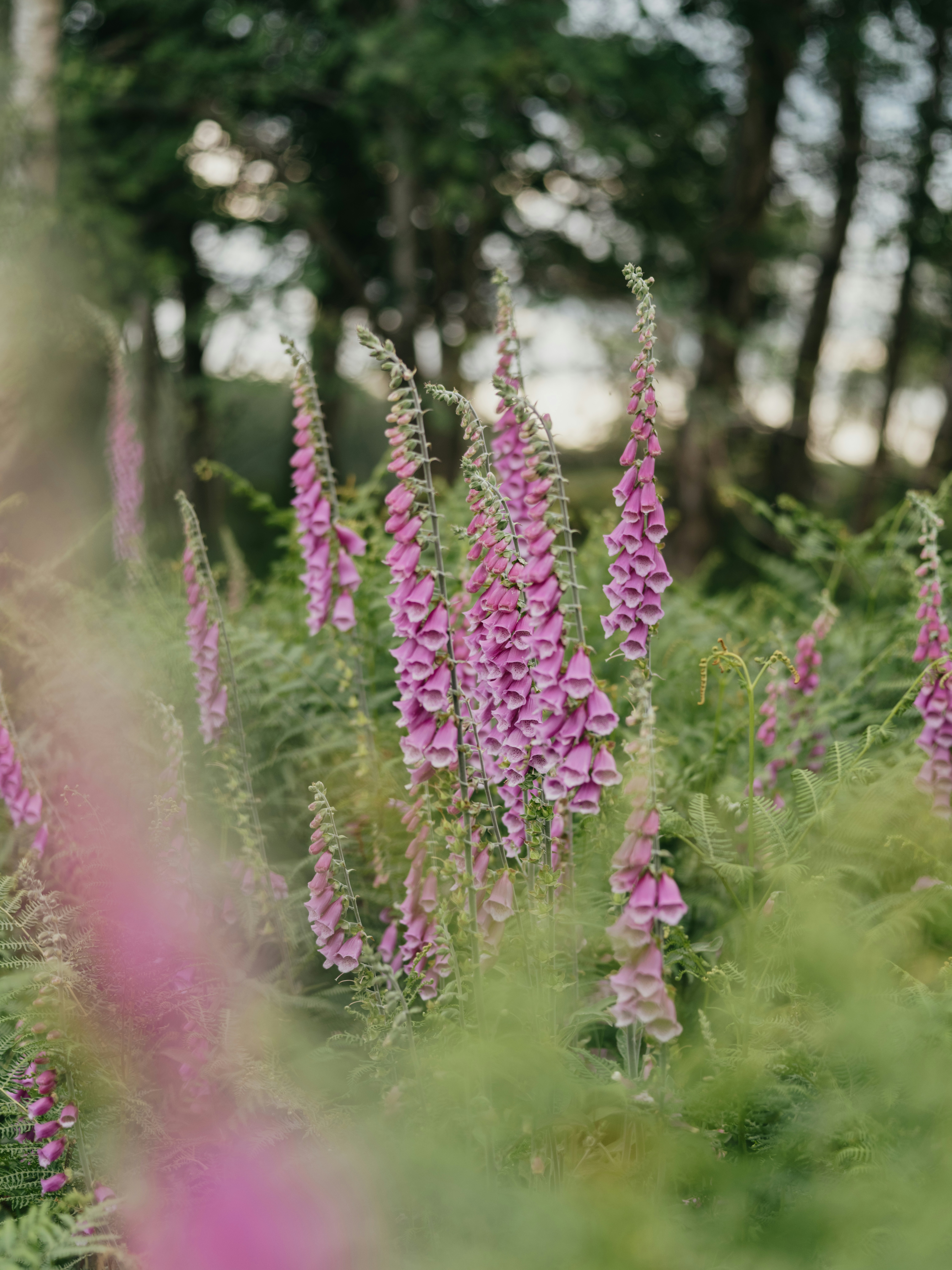 Photo by anniespratt